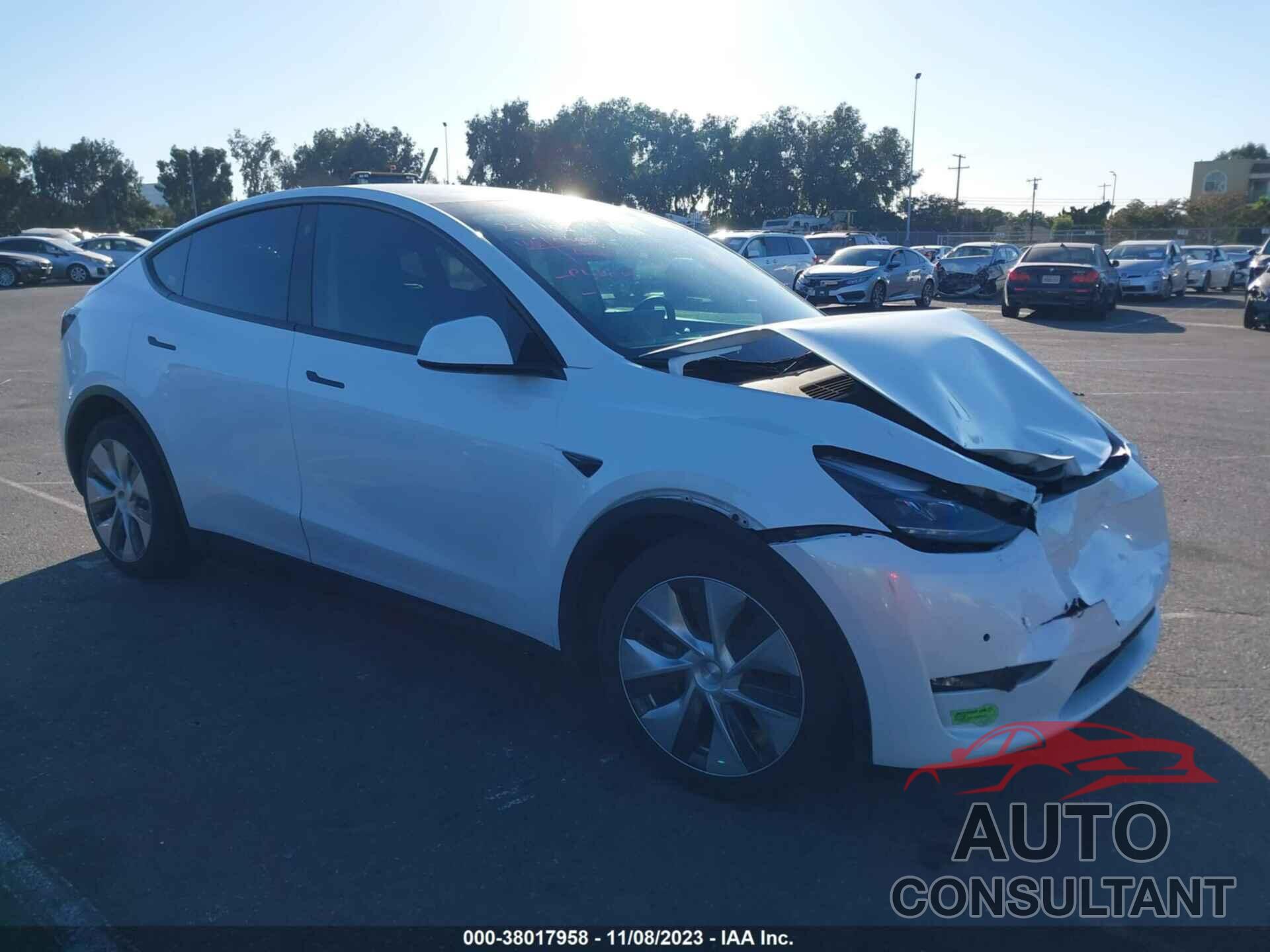 TESLA MODEL Y 2022 - 7SAYGDEE7NF560698