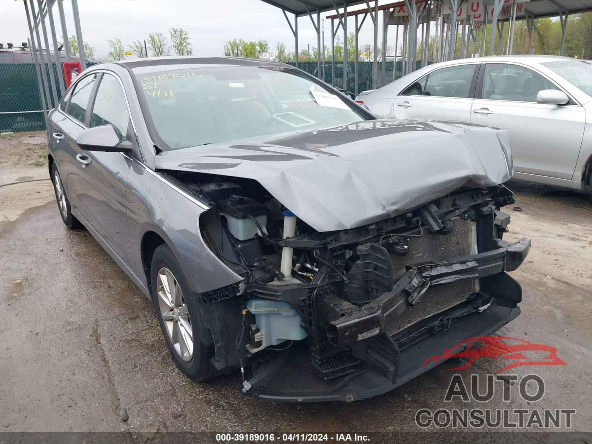 HYUNDAI SONATA 2019 - 5NPE24AF2KH780633