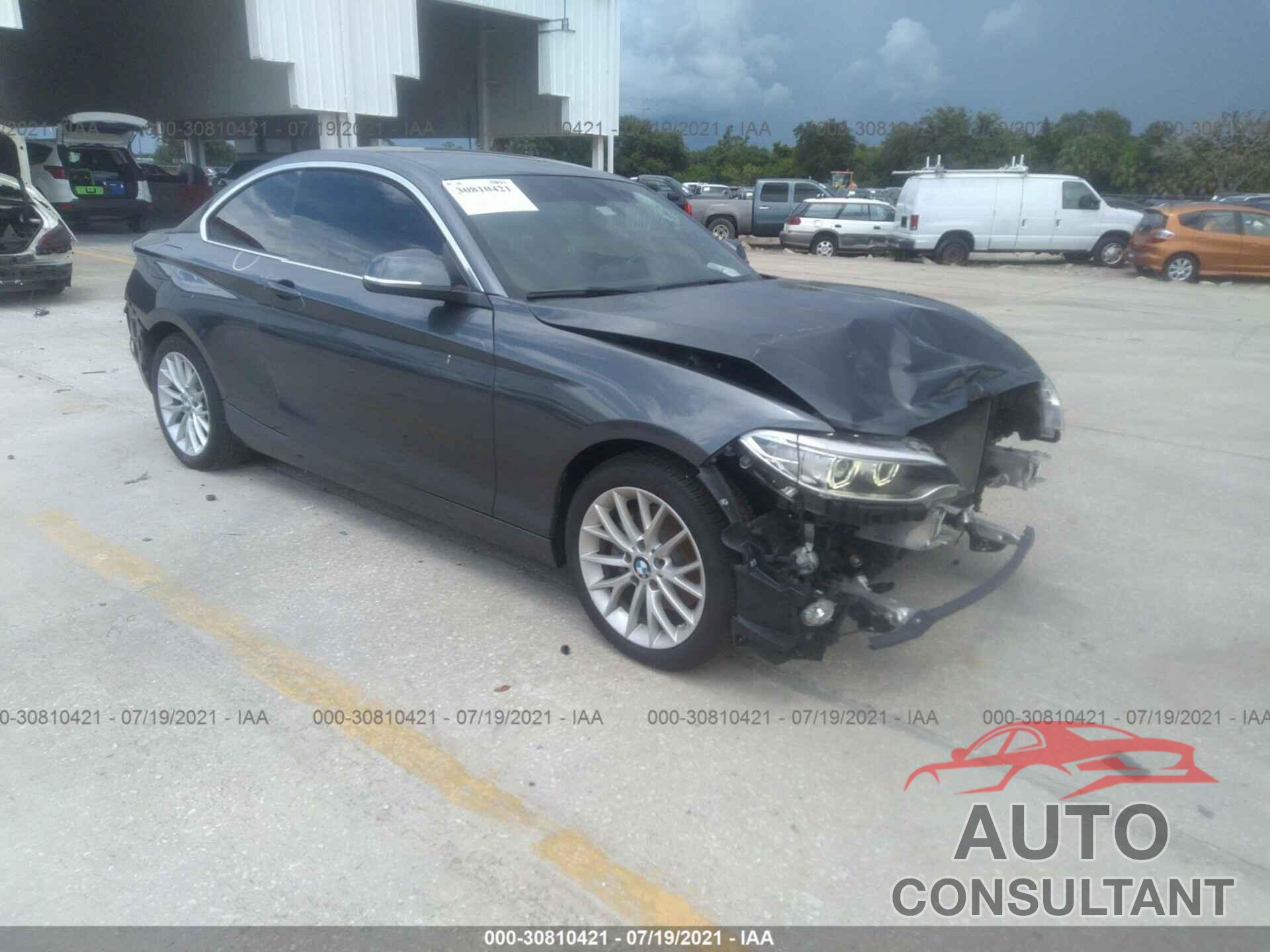 BMW 2 SERIES 2016 - WBA1F9C58GV546747