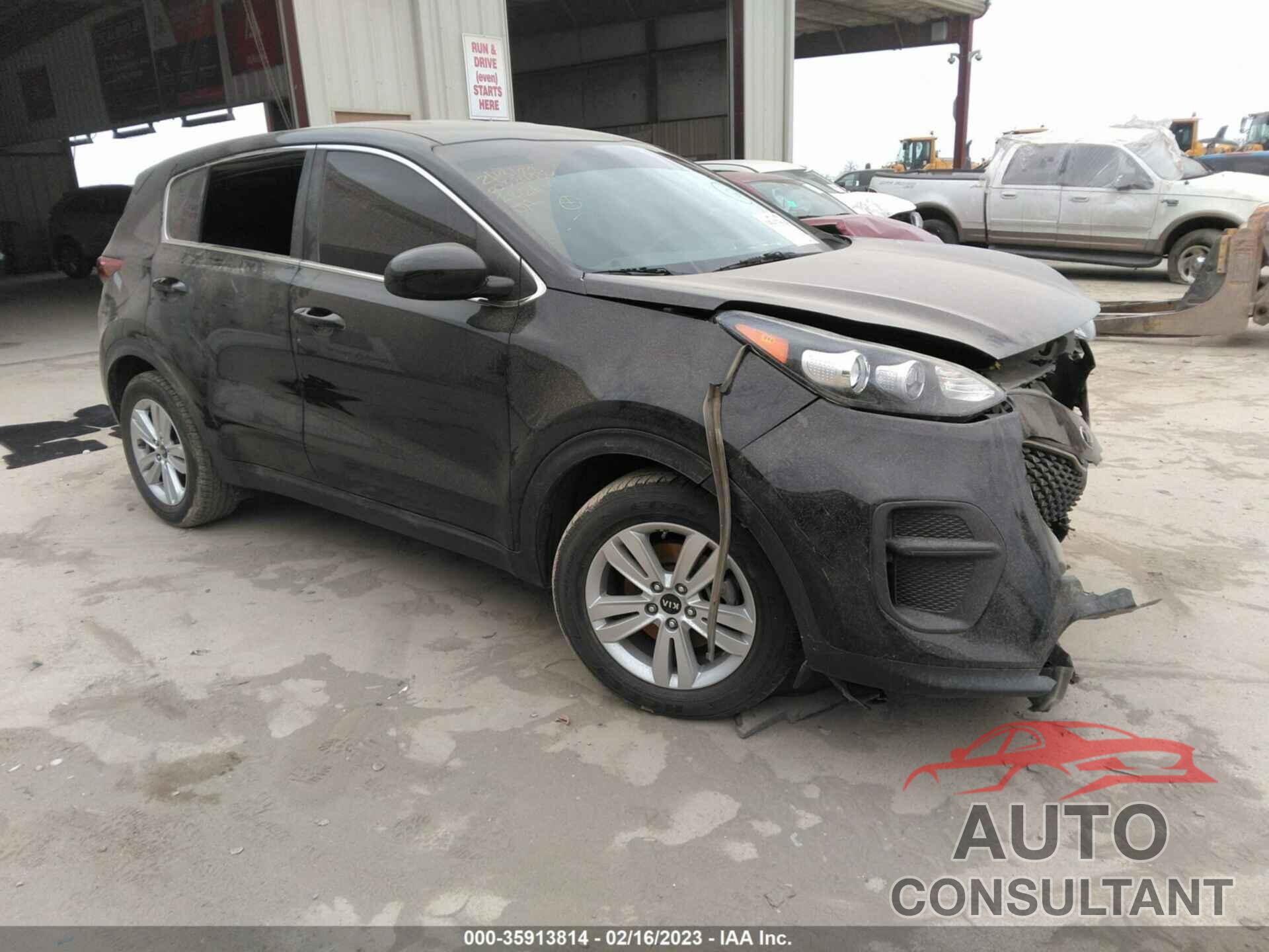 KIA SPORTAGE 2017 - KNDPM3AC3H7221267