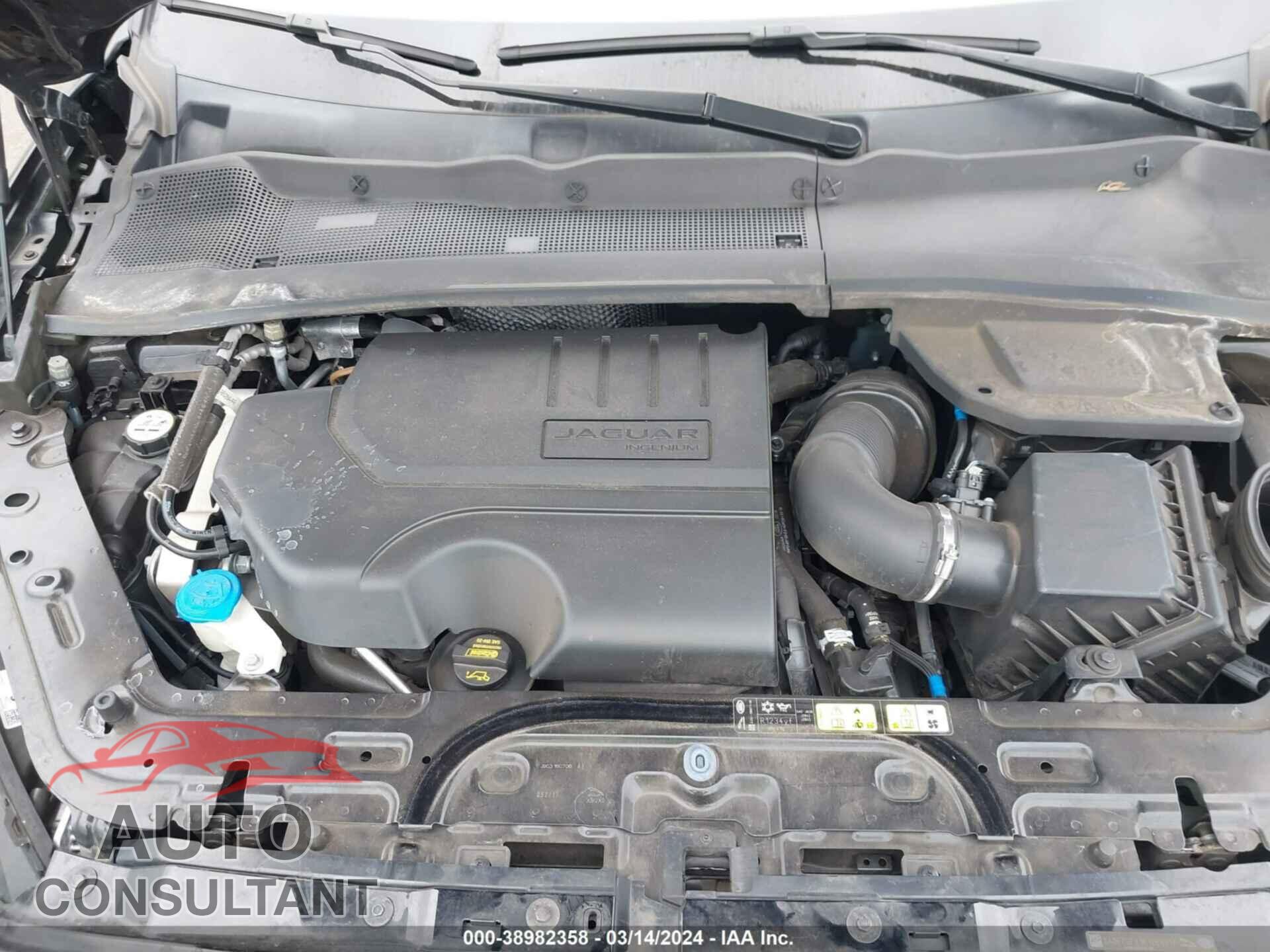 JAGUAR E-PACE 2019 - SADFP2FX1K1Z66817