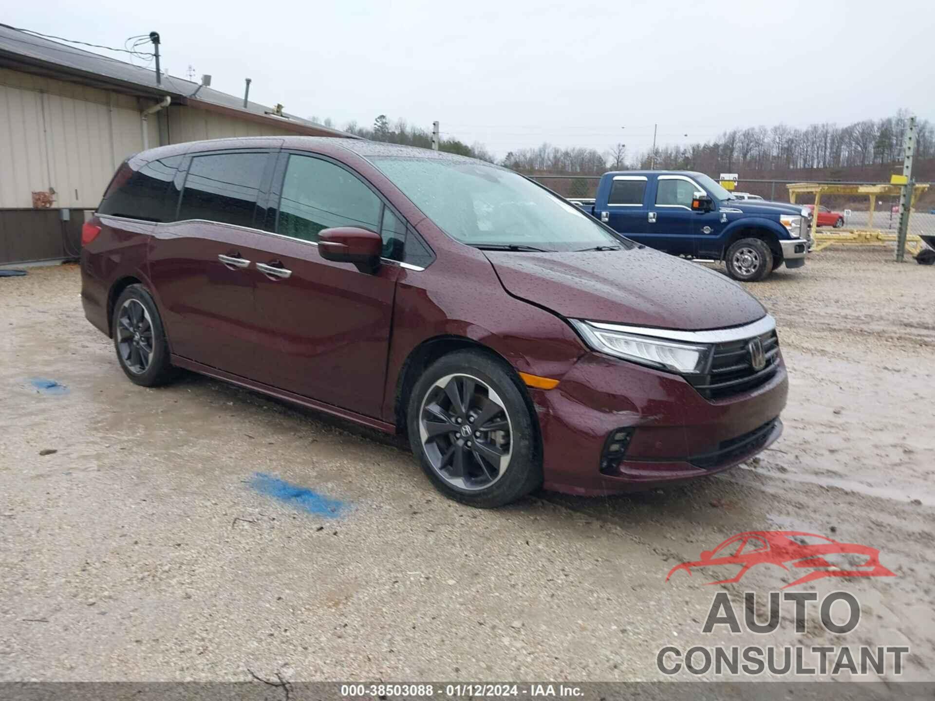 HONDA ODYSSEY 2021 - 5FNRL6H96MB008759