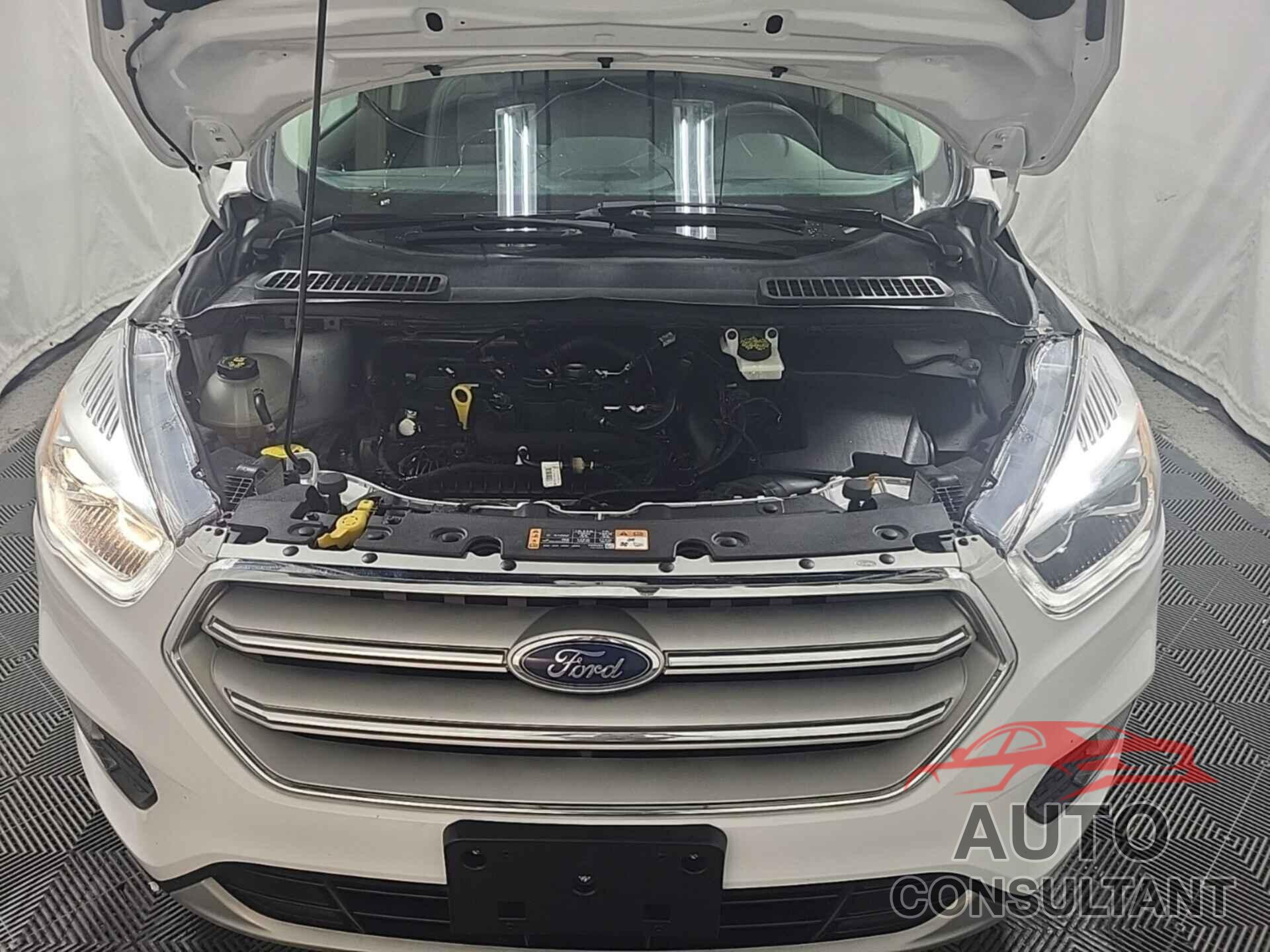 FORD ESCAPE 2019 - 1FMCU9HD4KUA65650