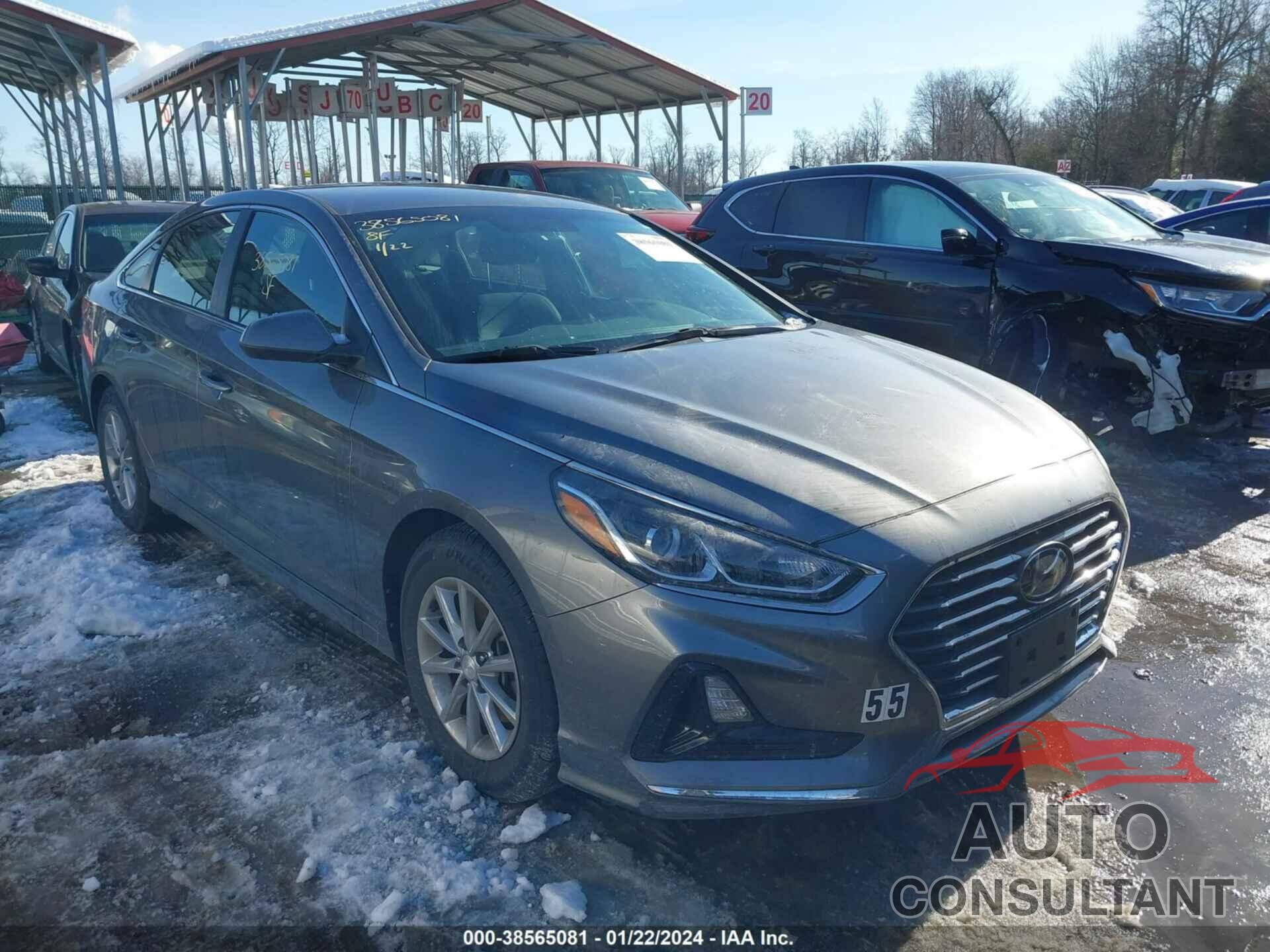 HYUNDAI SONATA 2019 - 5NPE24AF1KH729771