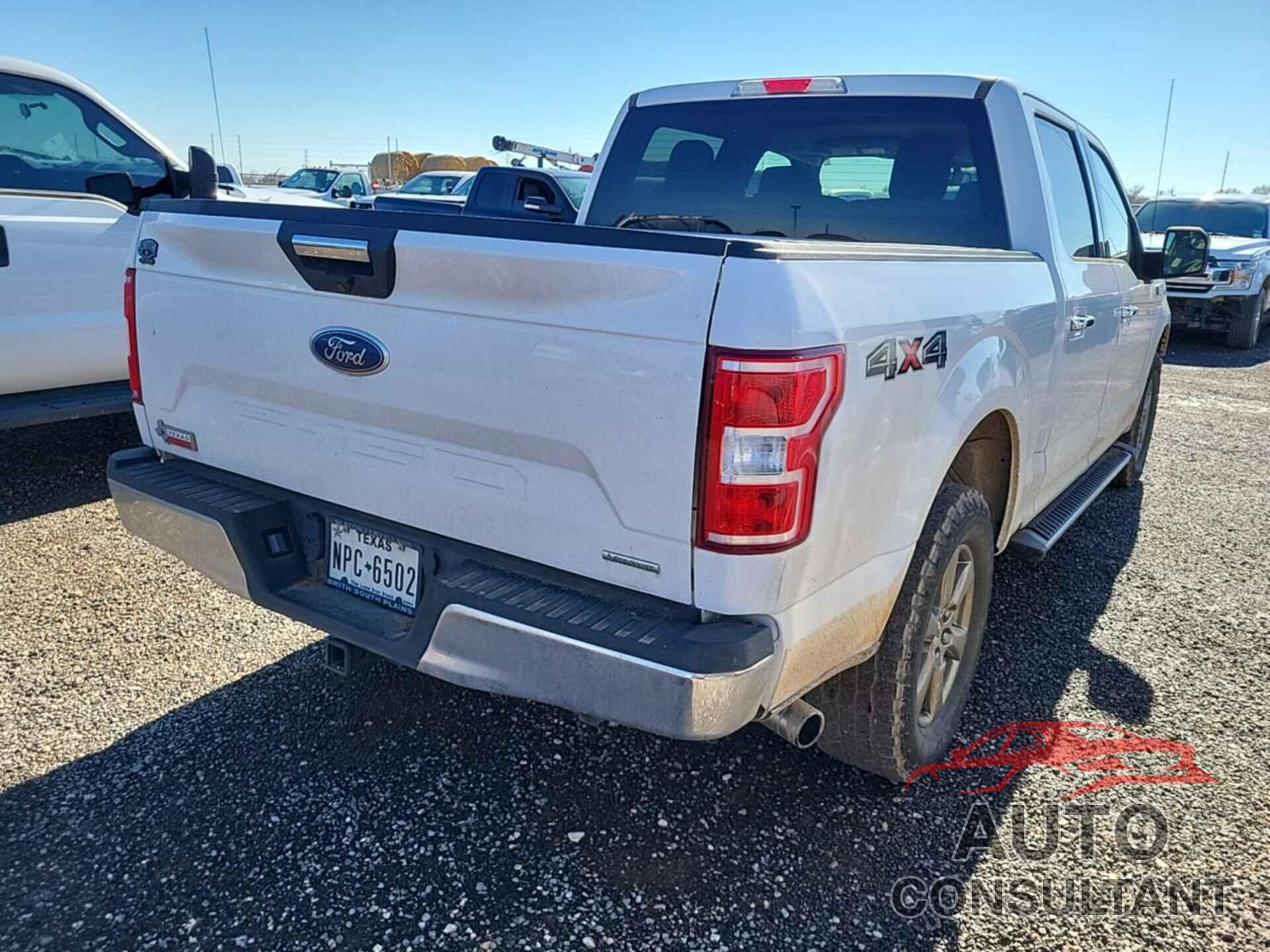 FORD F150 2020 - 1FTEW1EP2LKF02825