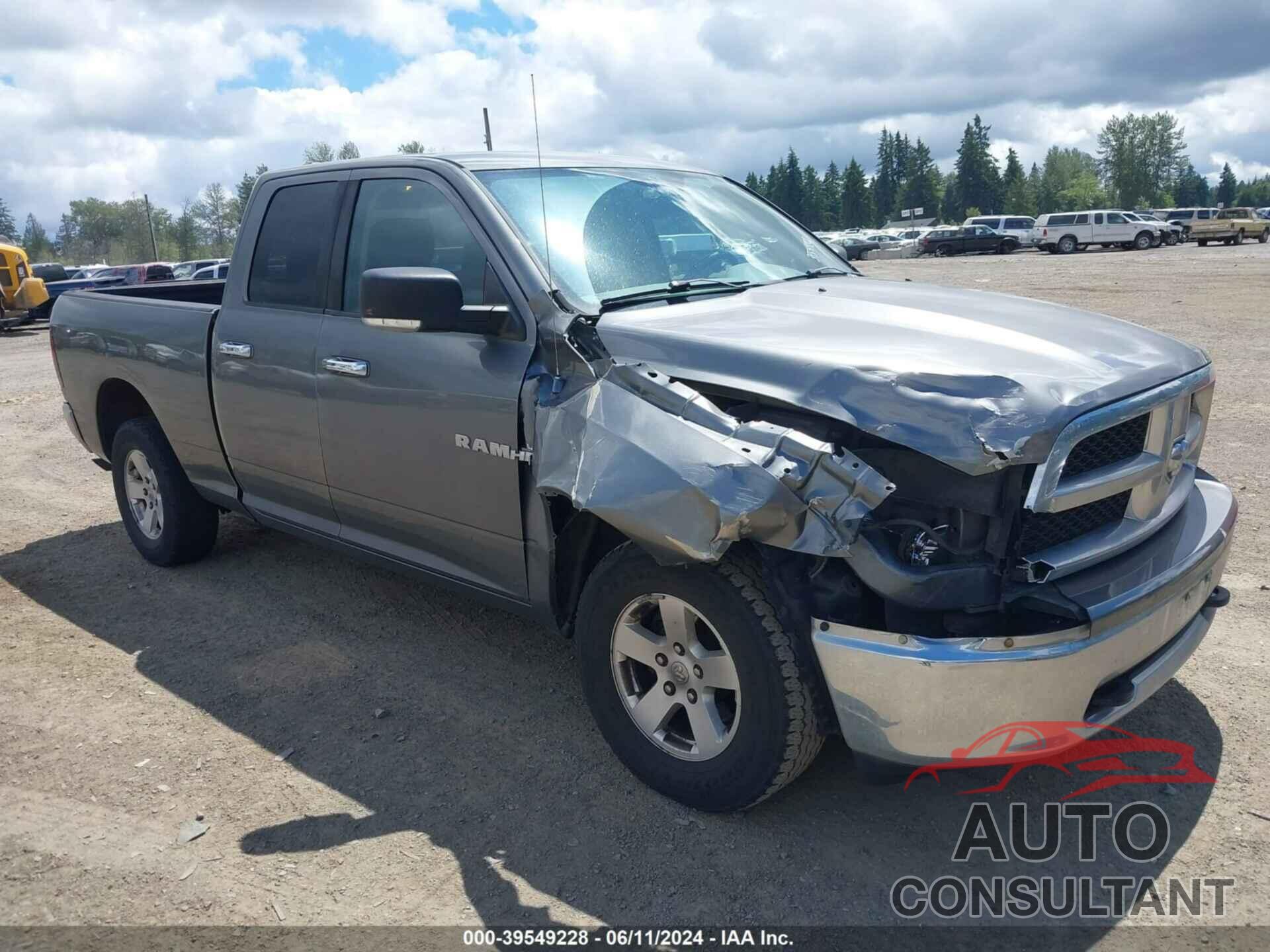 DODGE RAM 1500 2010 - 1D7RV1GT1AS125292