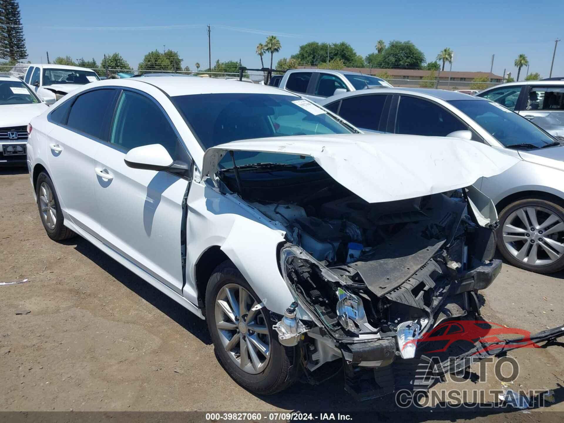 HYUNDAI SONATA 2019 - 5NPE24AF5KH751367