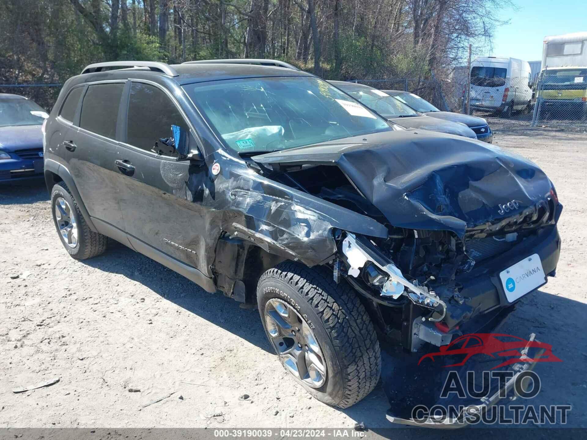 JEEP CHEROKEE 2019 - 1C4PJMBN9KD489733