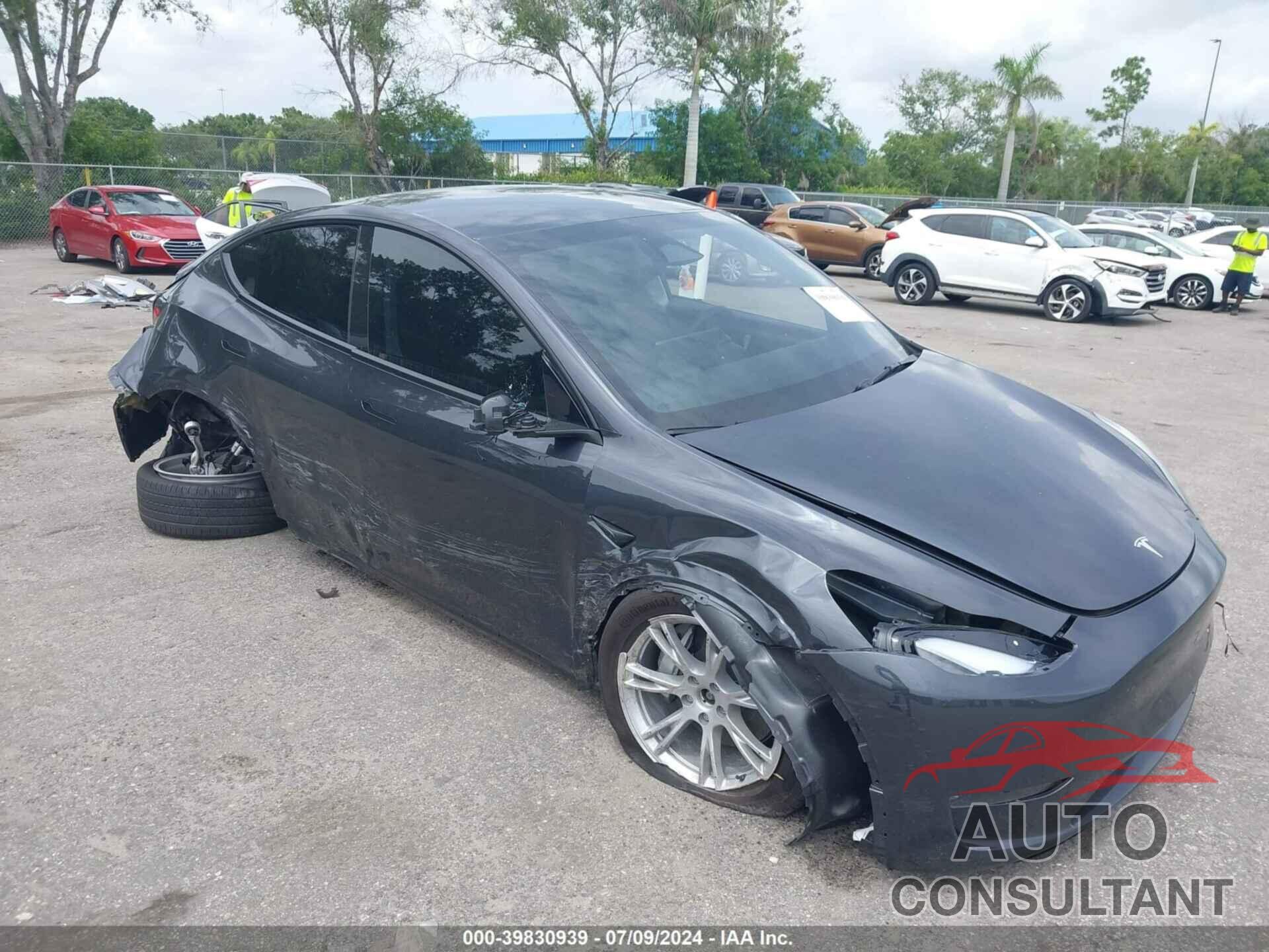 TESLA MODEL Y 2024 - 7SAYGDEE3RF985146