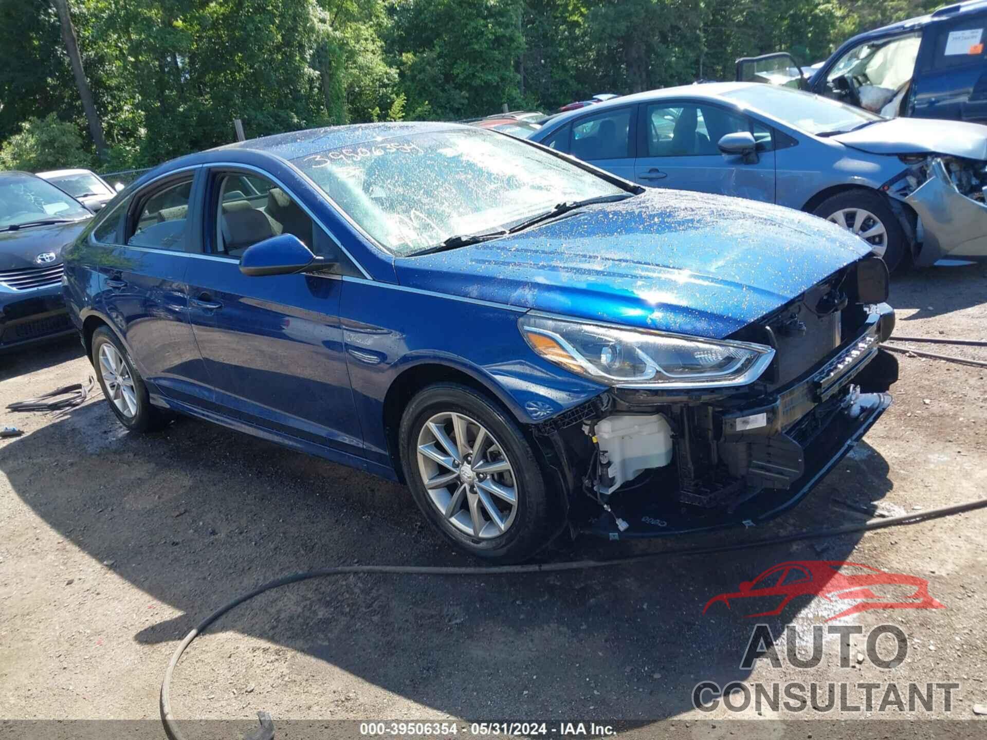 HYUNDAI SONATA 2019 - 5NPE24AF6KH783096