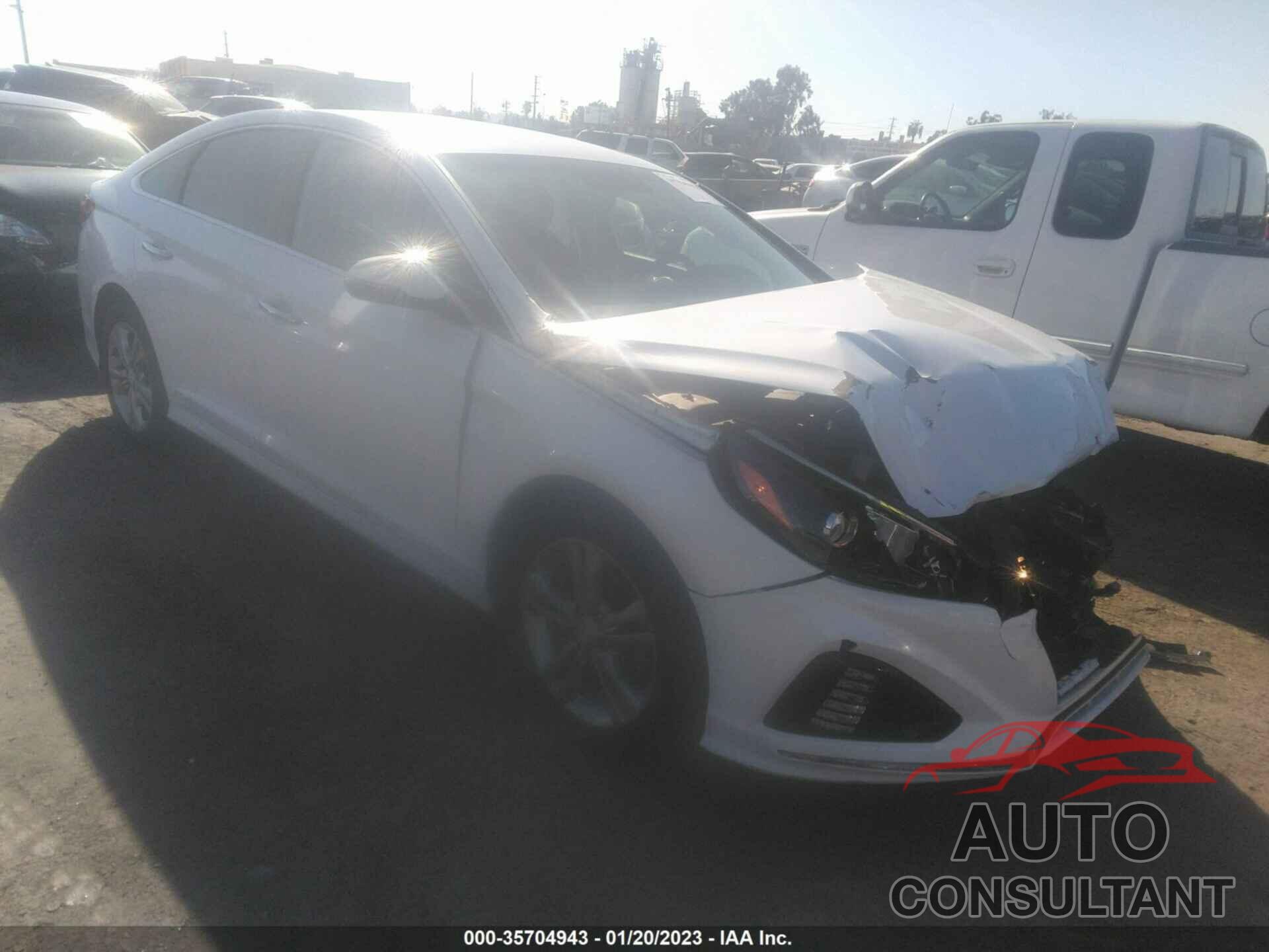 HYUNDAI SONATA 2019 - 5NPE34AF9KH789987