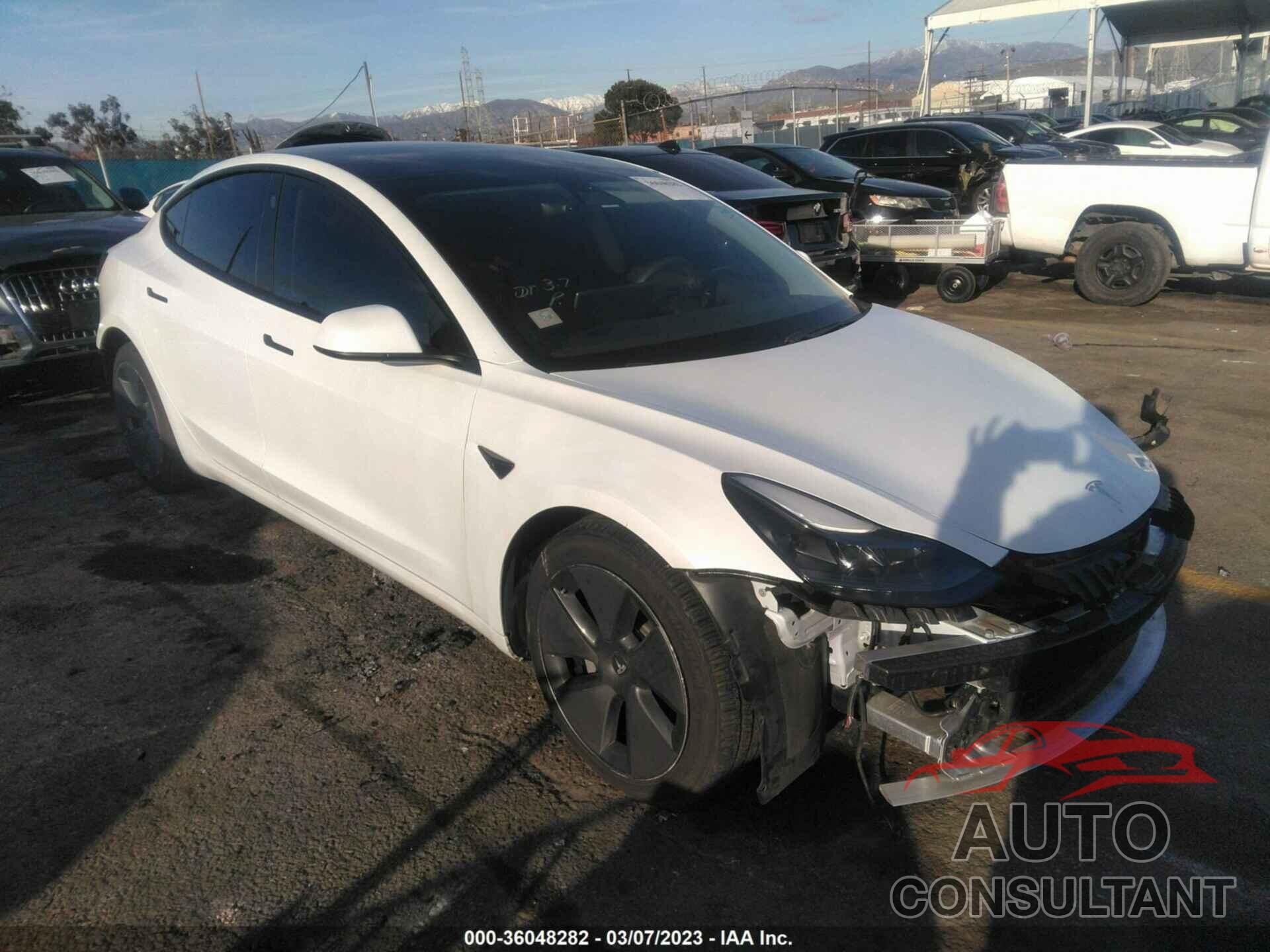 TESLA MODEL 3 2021 - 5YJ3E1EA3MF923392