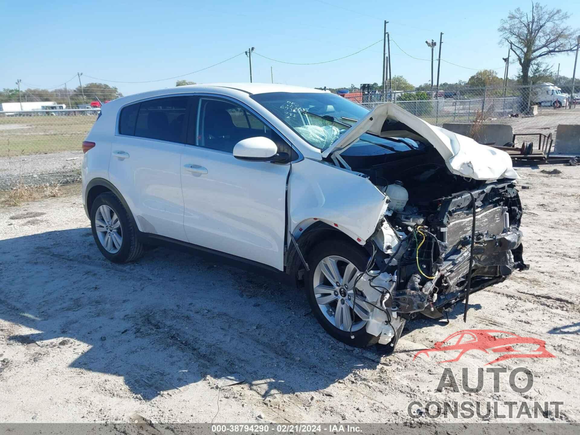 KIA SPORTAGE 2019 - KNDPM3AC5K7491110
