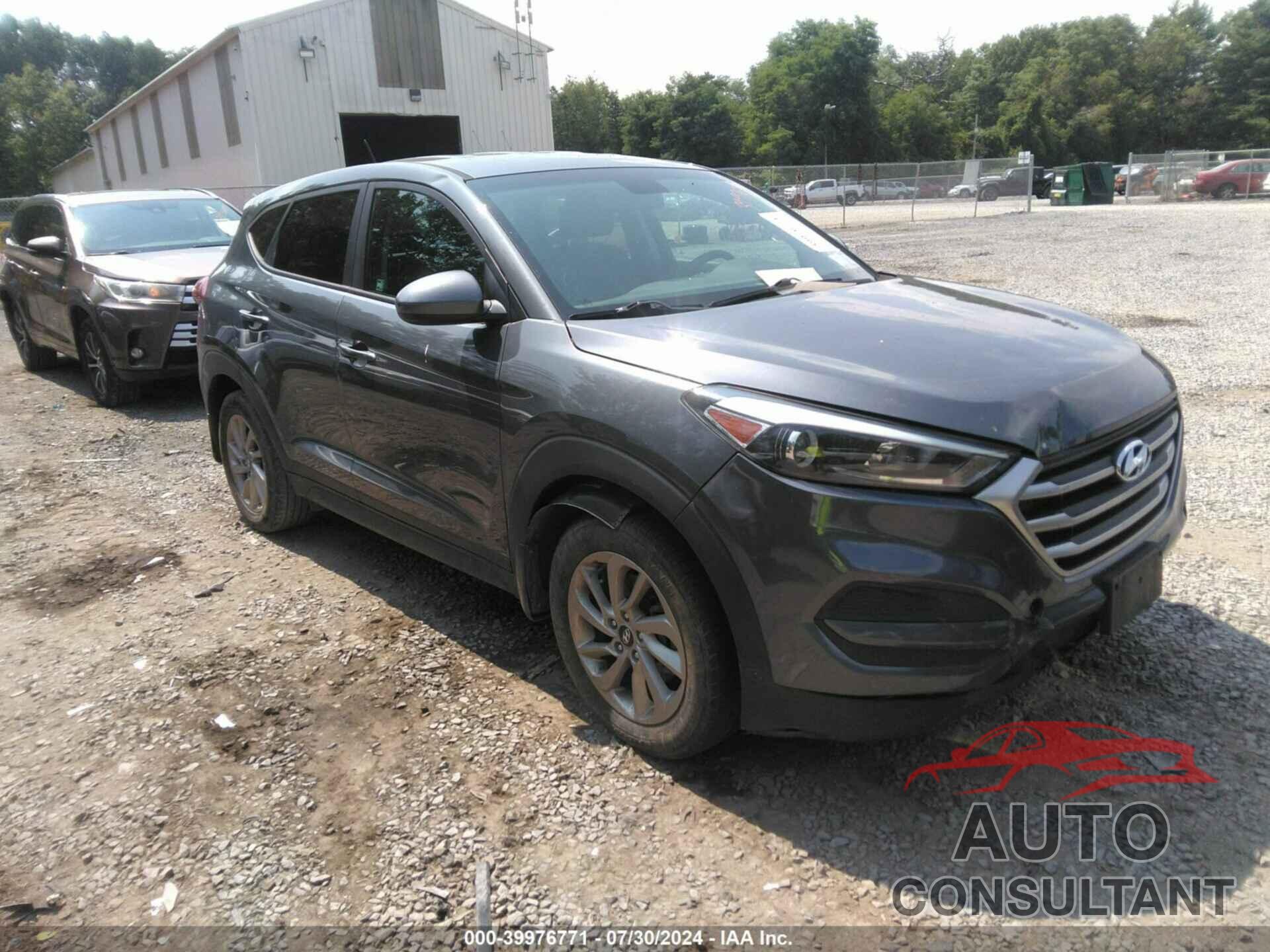 HYUNDAI TUCSON 2017 - KM8J23A45HU445237