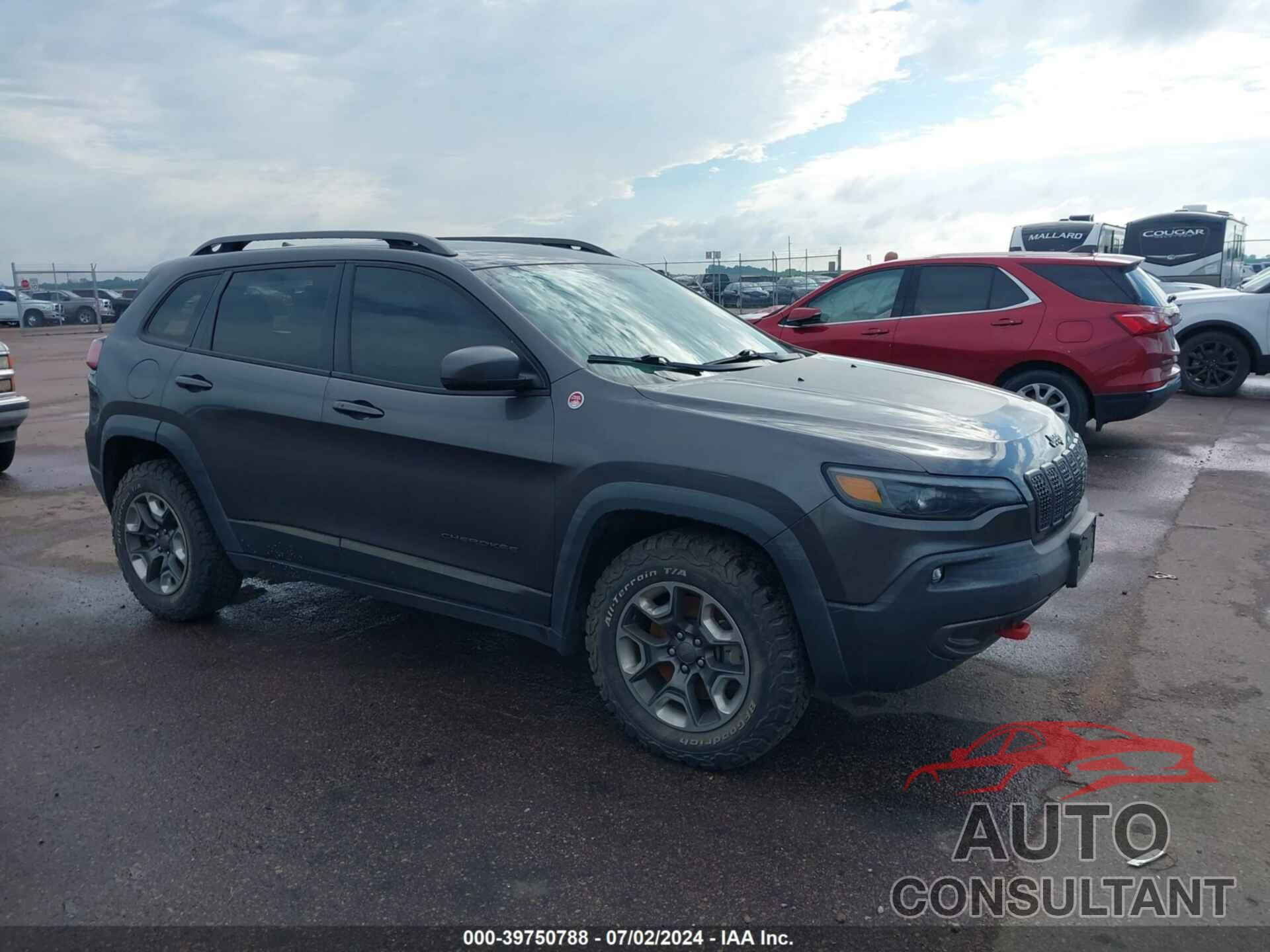 JEEP CHEROKEE 2019 - 1C4PJMBX4KD452560