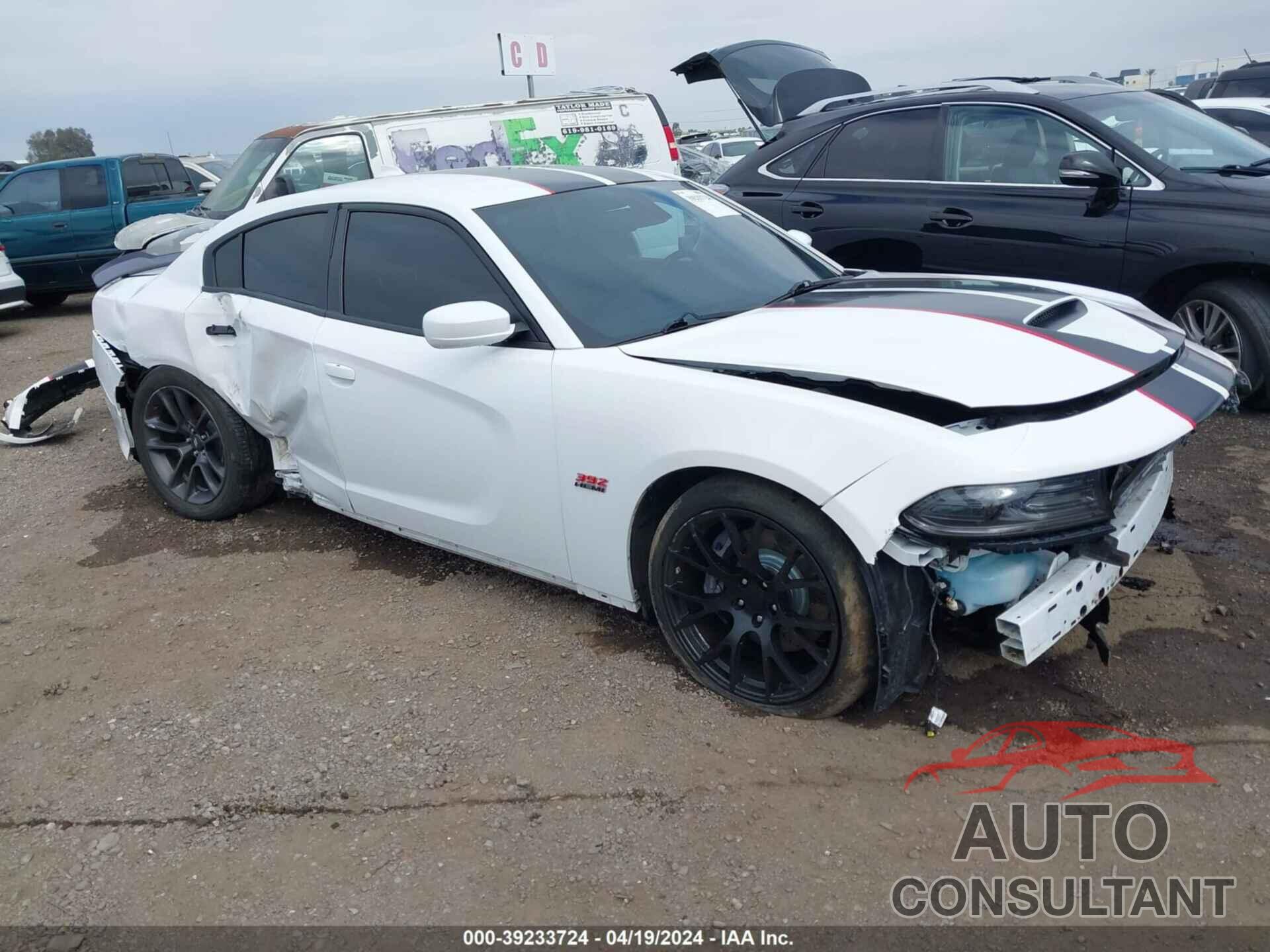 DODGE CHARGER 2021 - 2C3CDXGJ7MH559124