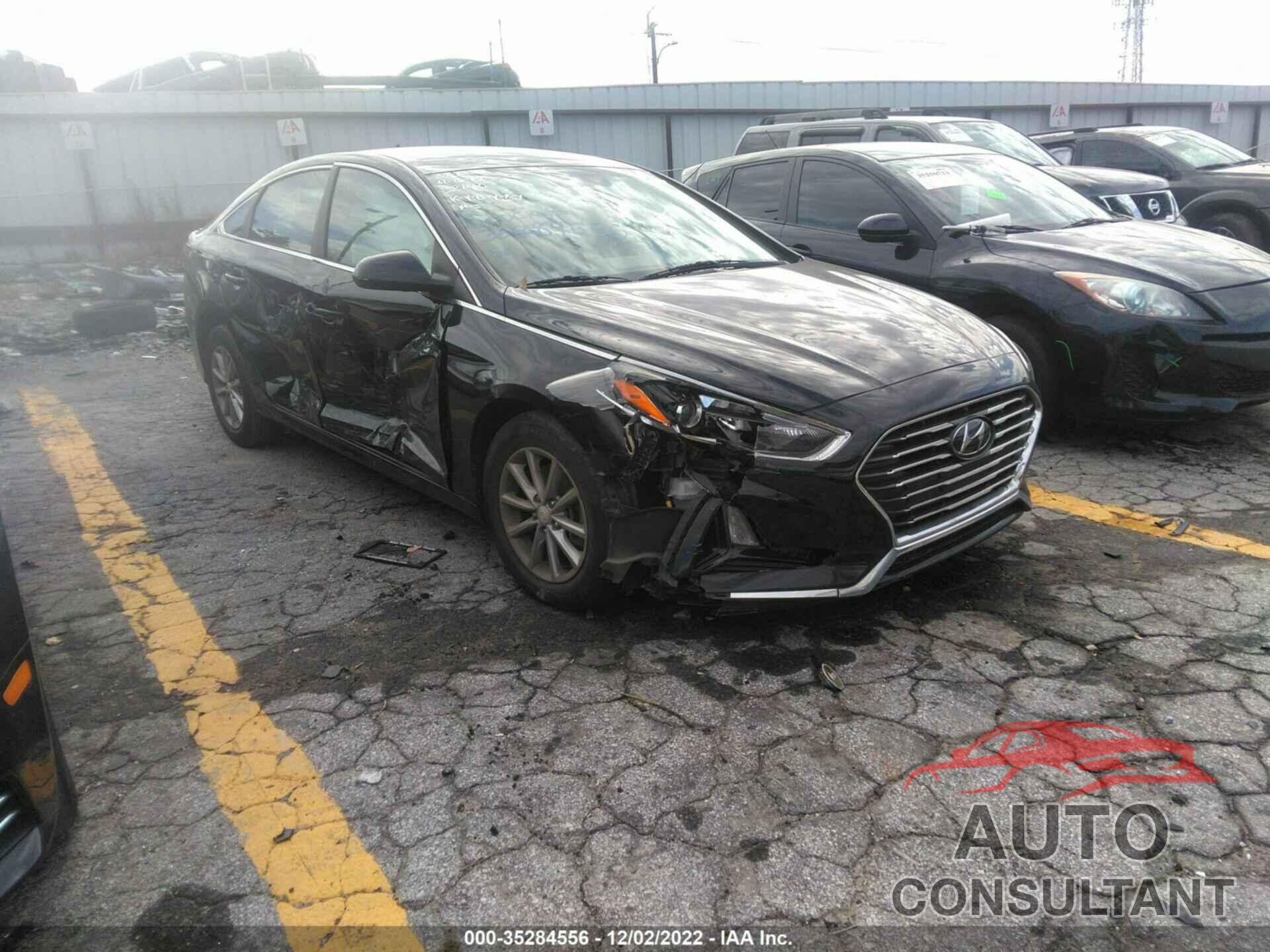 HYUNDAI SONATA 2019 - 5NPE24AF5KH730728