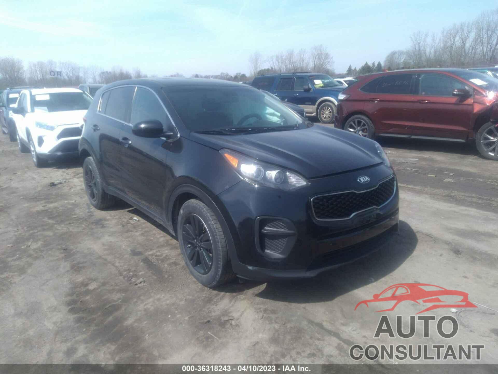 KIA SPORTAGE 2017 - KNDPM3AC8H7095701