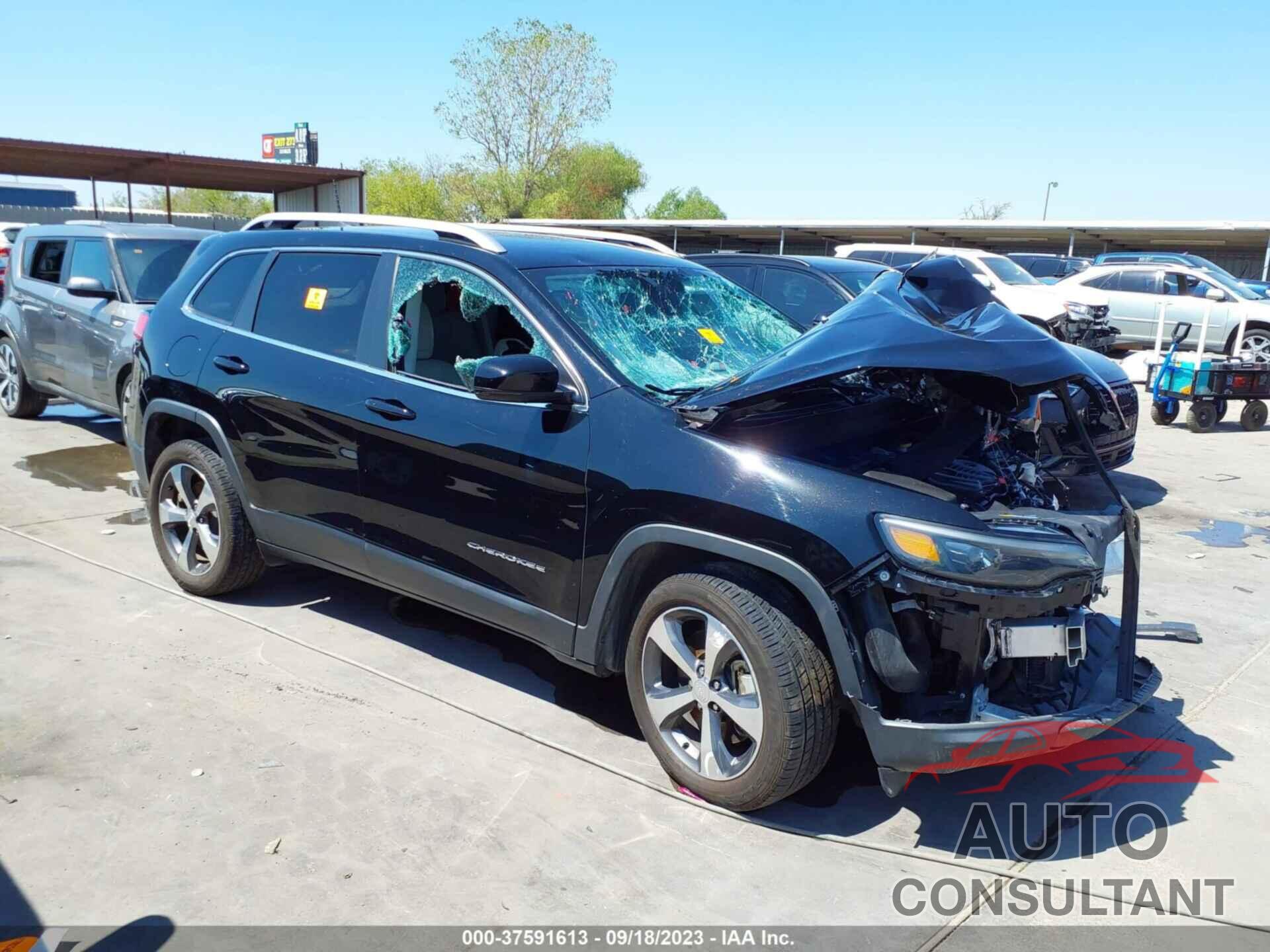 JEEP CHEROKEE 2019 - 1C4PJLDX5KD176736