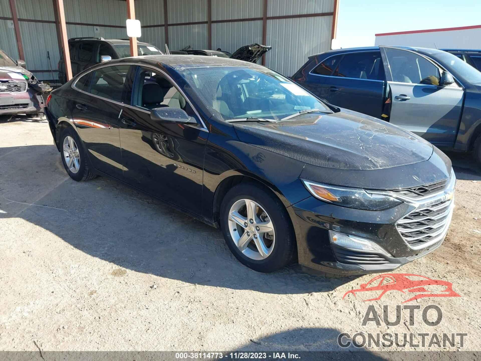 CHEVROLET MALIBU 2019 - 1G1ZC5ST6KF123619