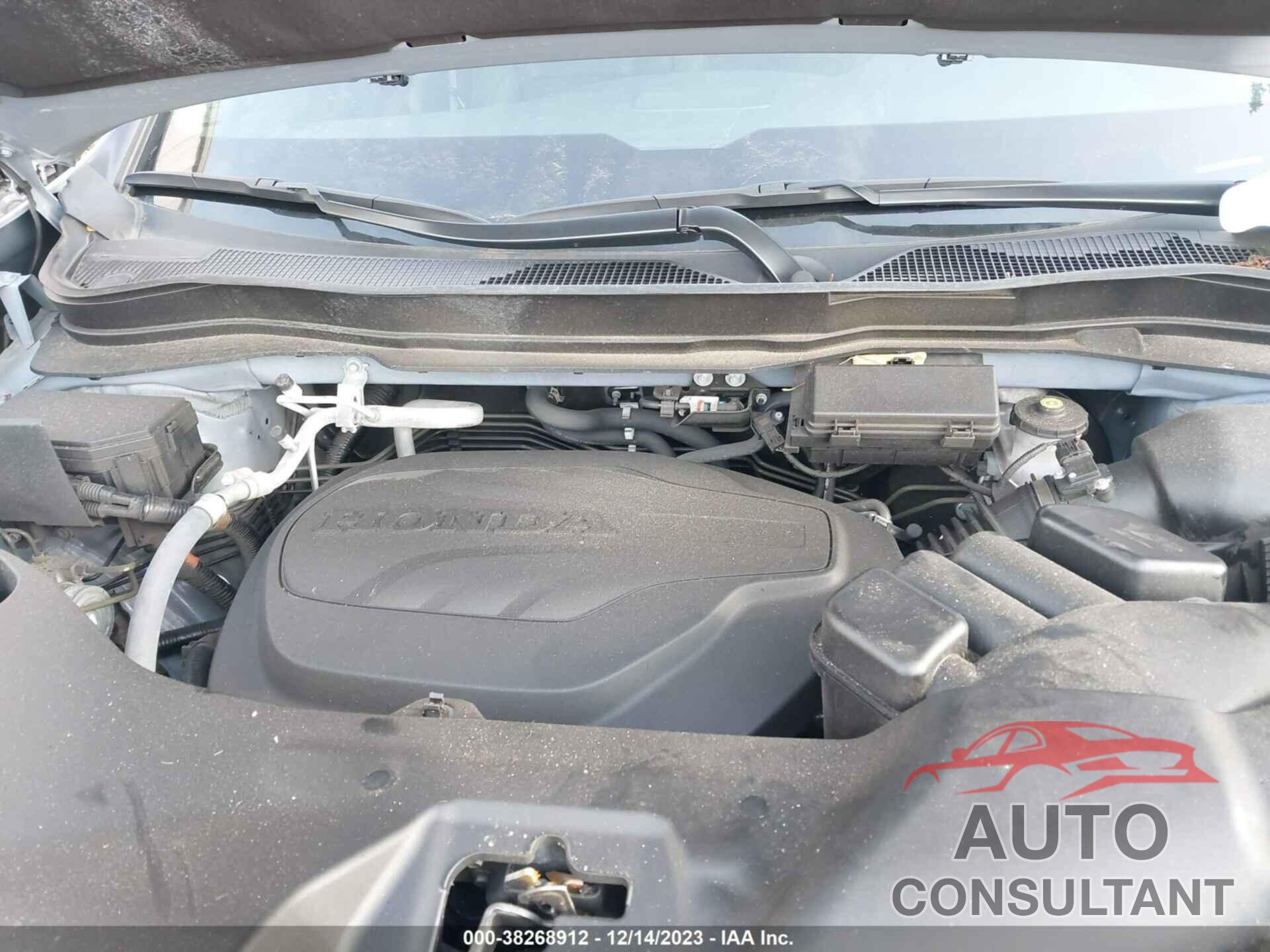 HONDA PASSPORT 2022 - 5FNYF8H03NB016626