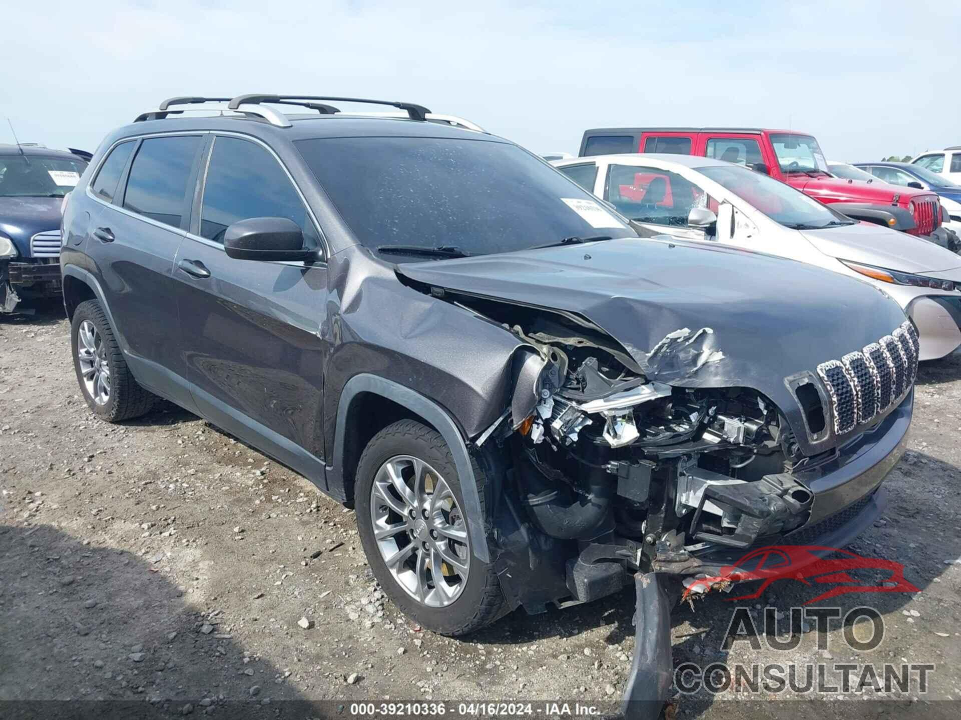 JEEP CHEROKEE 2019 - 1C4PJLLN0KD147645