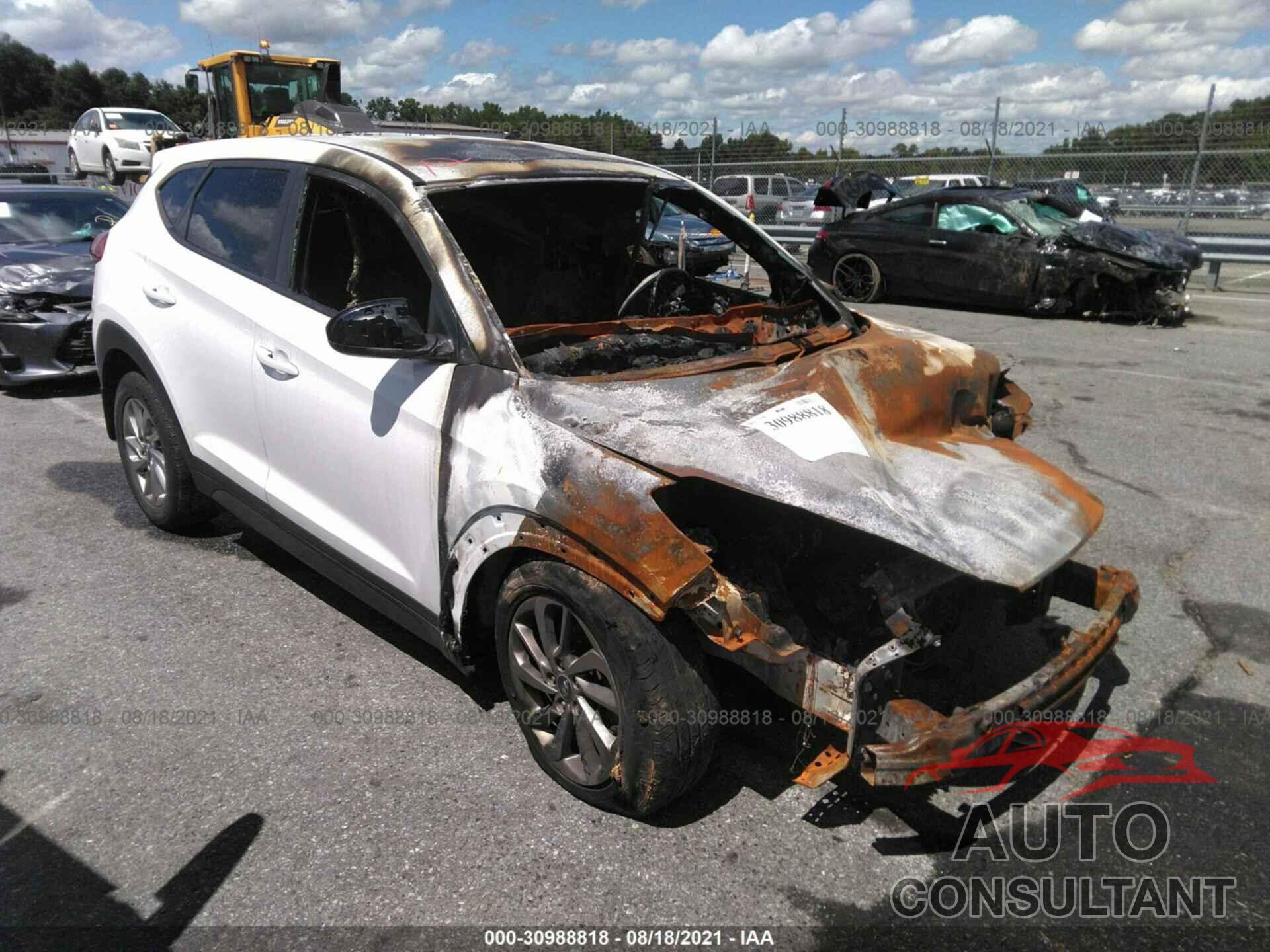 HYUNDAI TUCSON 2017 - KM8J23A40HU507921