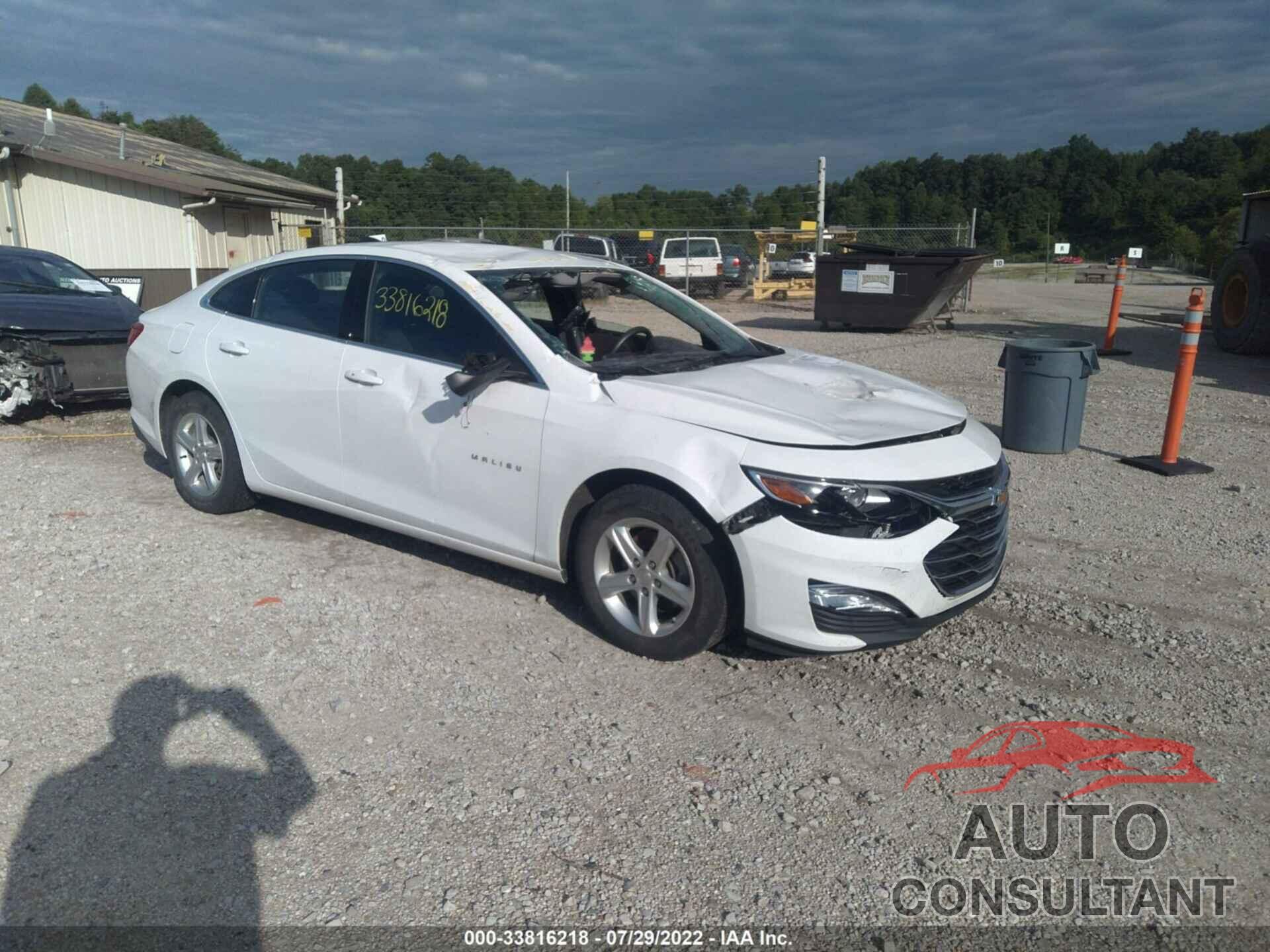 CHEVROLET MALIBU 2020 - 1G1ZC5ST9LF066415