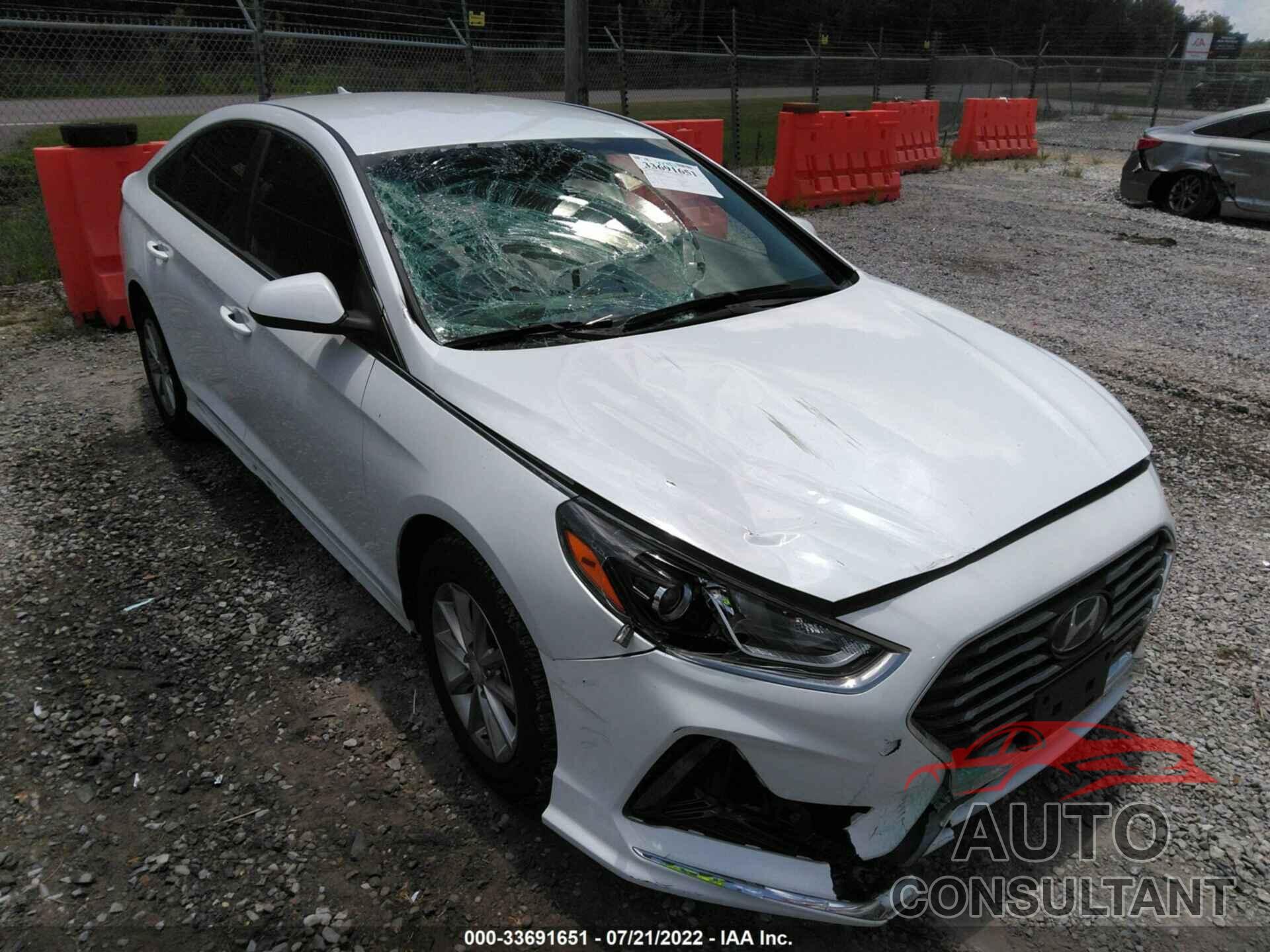 HYUNDAI SONATA 2019 - 5NPE24AF8KH803056