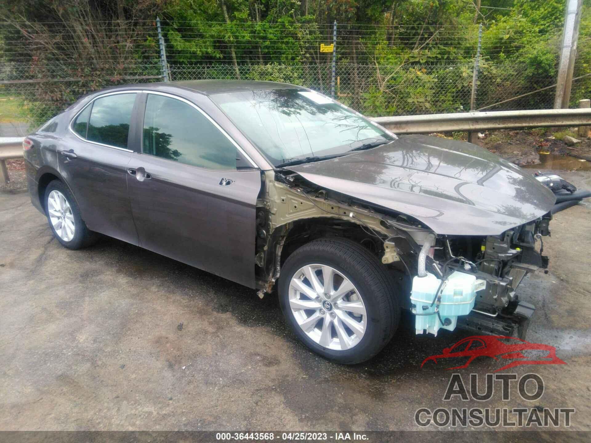 TOYOTA CAMRY 2019 - 4T1B11HK7KU681458