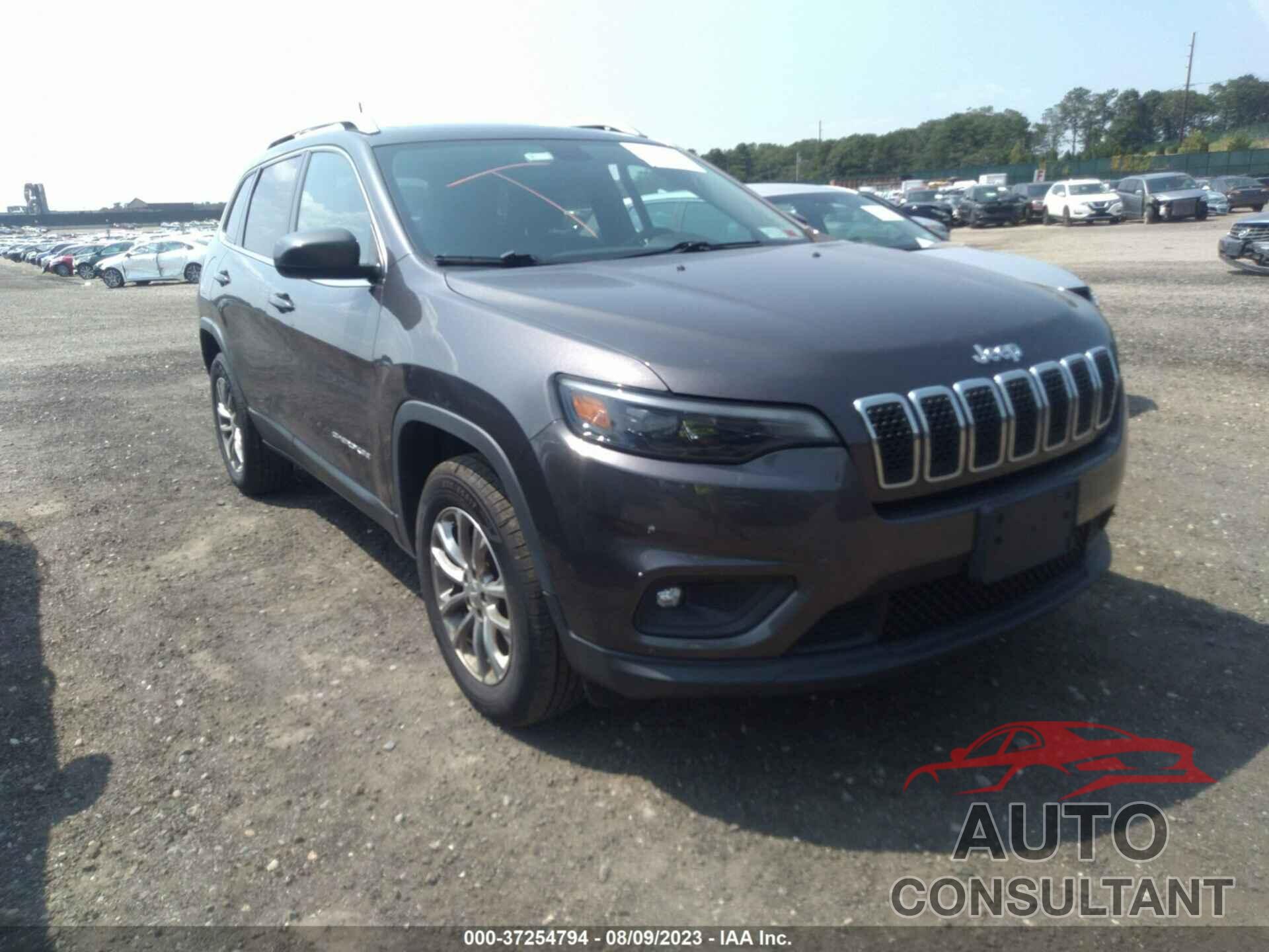 JEEP CHEROKEE 2019 - 1C4PJMLX3KD270590