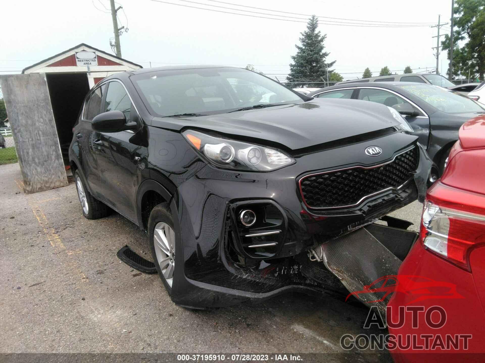 KIA SPORTAGE 2019 - KNDPMCAC0K7615574