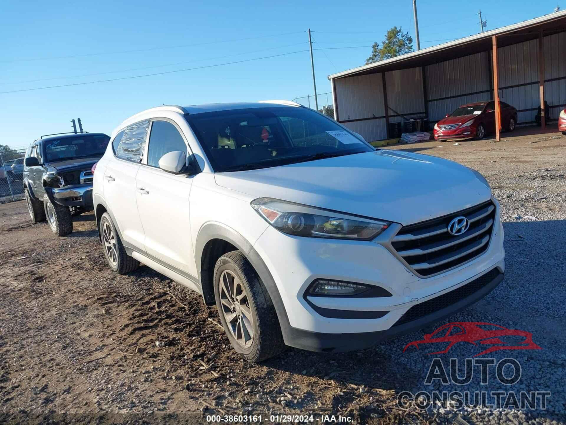 HYUNDAI TUCSON 2017 - KM8J33A45HU598648