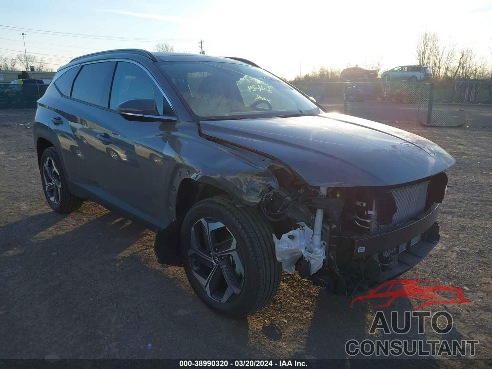 HYUNDAI TUCSON 2024 - 5NMJECDE9RH379445