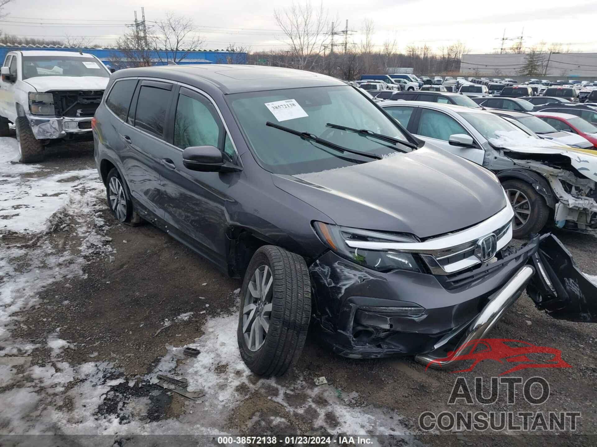 HONDA PILOT 2019 - 5FNYF6H55KB045332