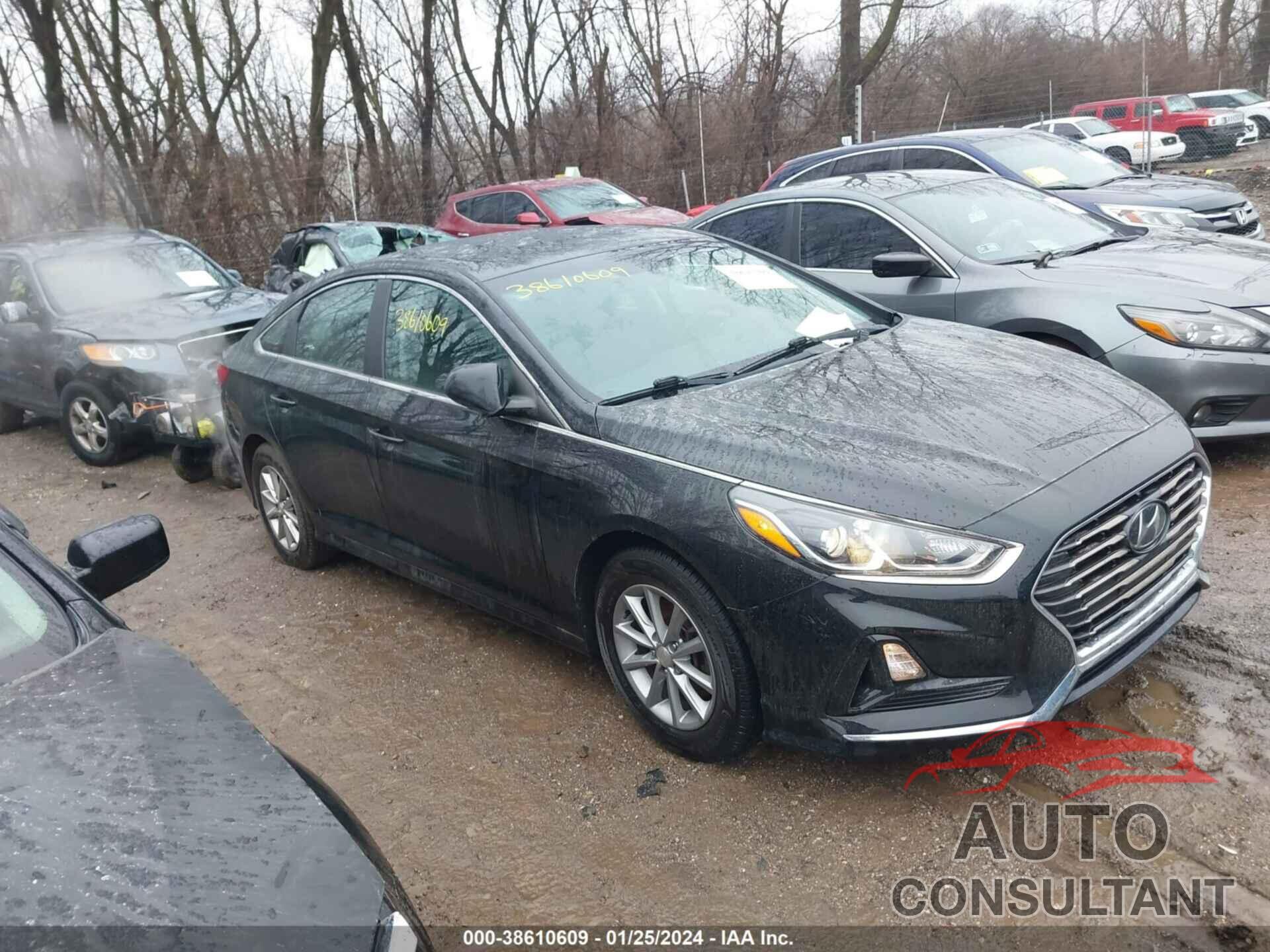 HYUNDAI SONATA 2019 - 5NPE24AF2KH820306