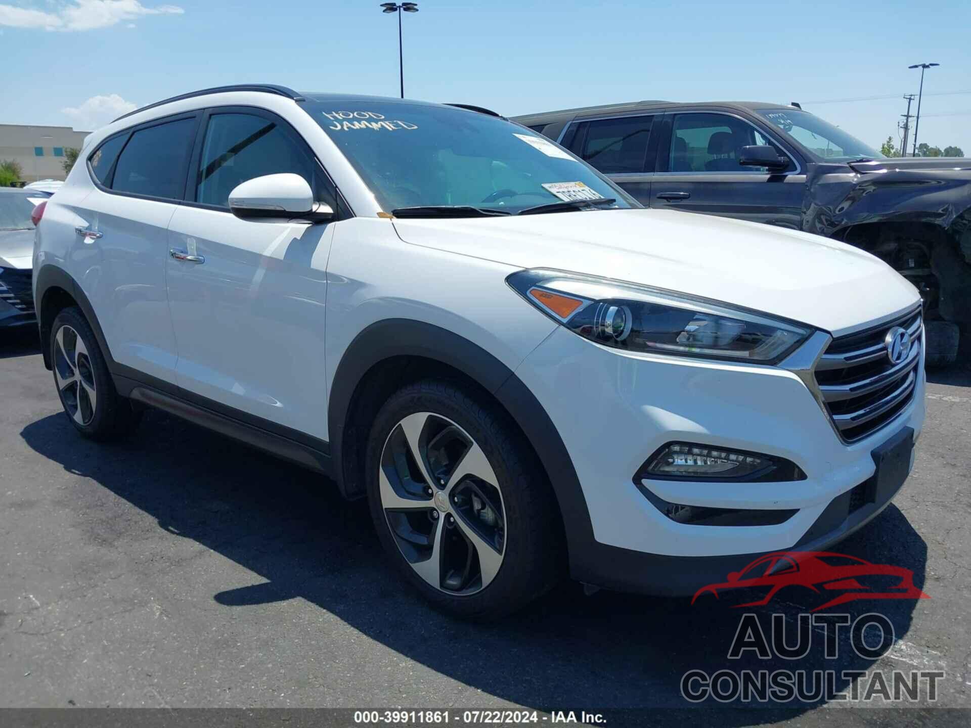 HYUNDAI TUCSON 2016 - KM8J33A26GU164946