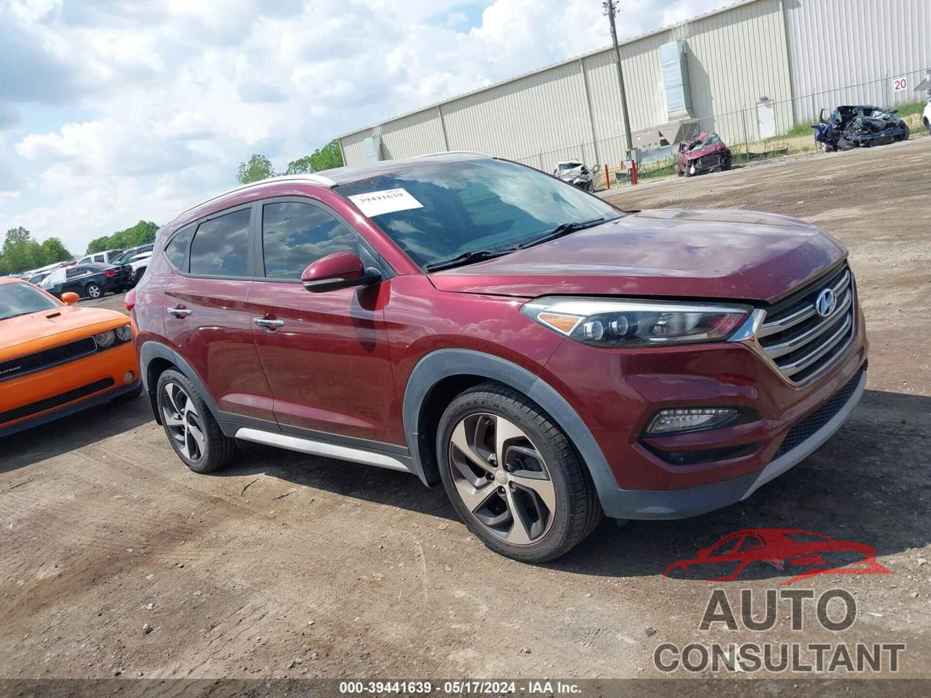 HYUNDAI TUCSON 2017 - KM8J33A24HU595223