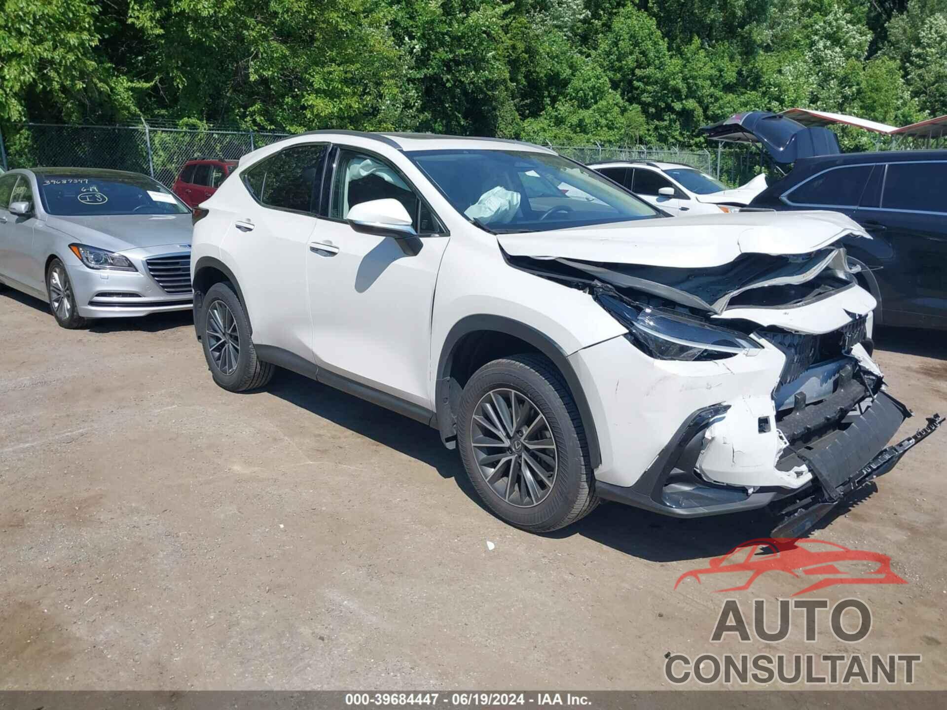 LEXUS NX 350 2024 - JTJAGCEZ5R5005670