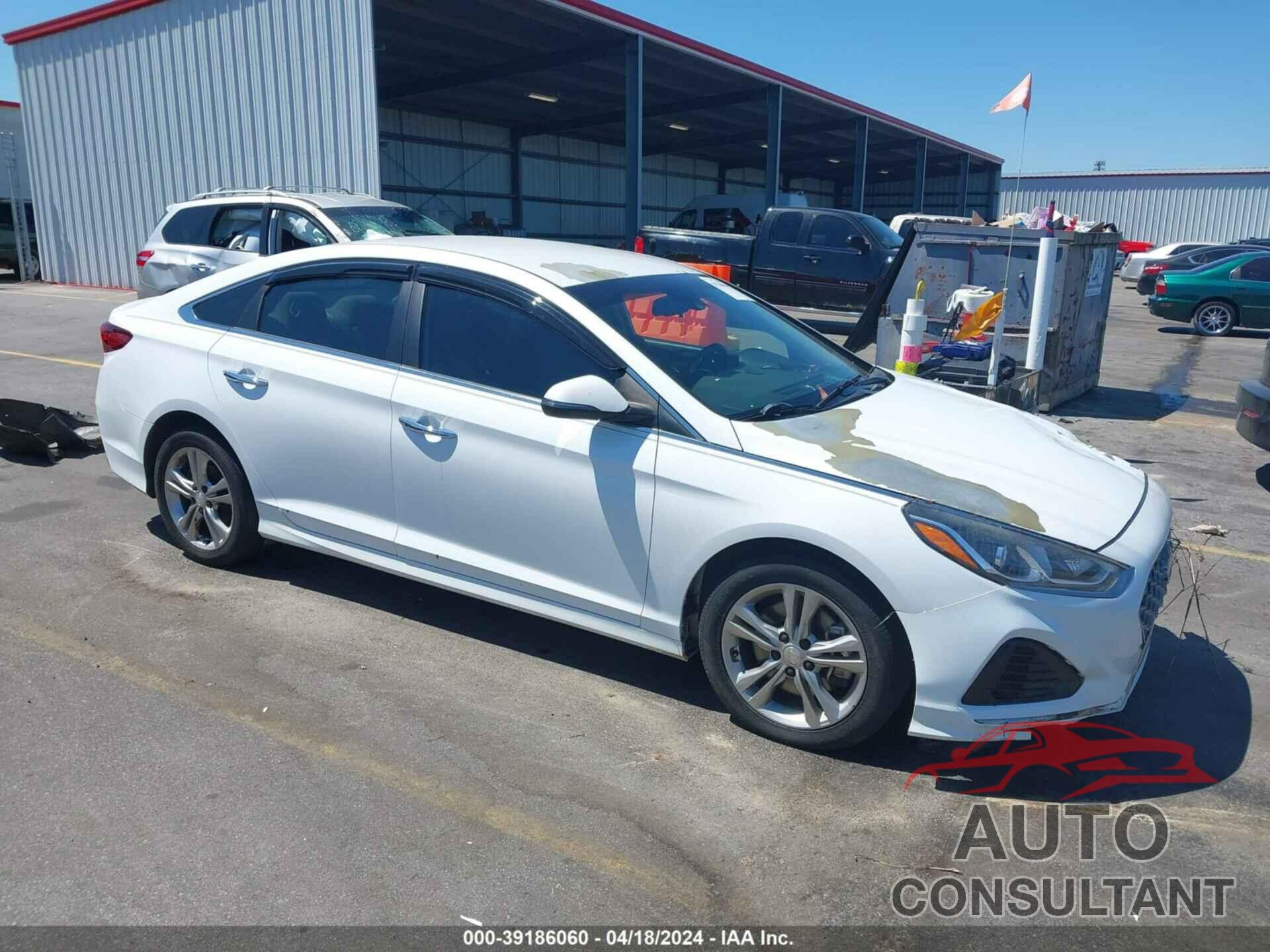HYUNDAI SONATA 2019 - 5NPE34AF6KH765646