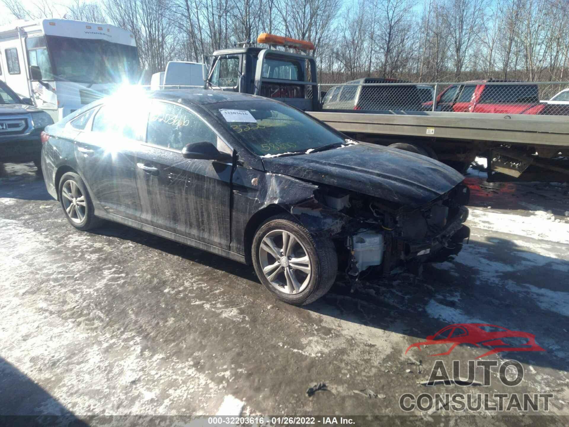 HYUNDAI SONATA 2019 - 5NPE34AF9KH815858