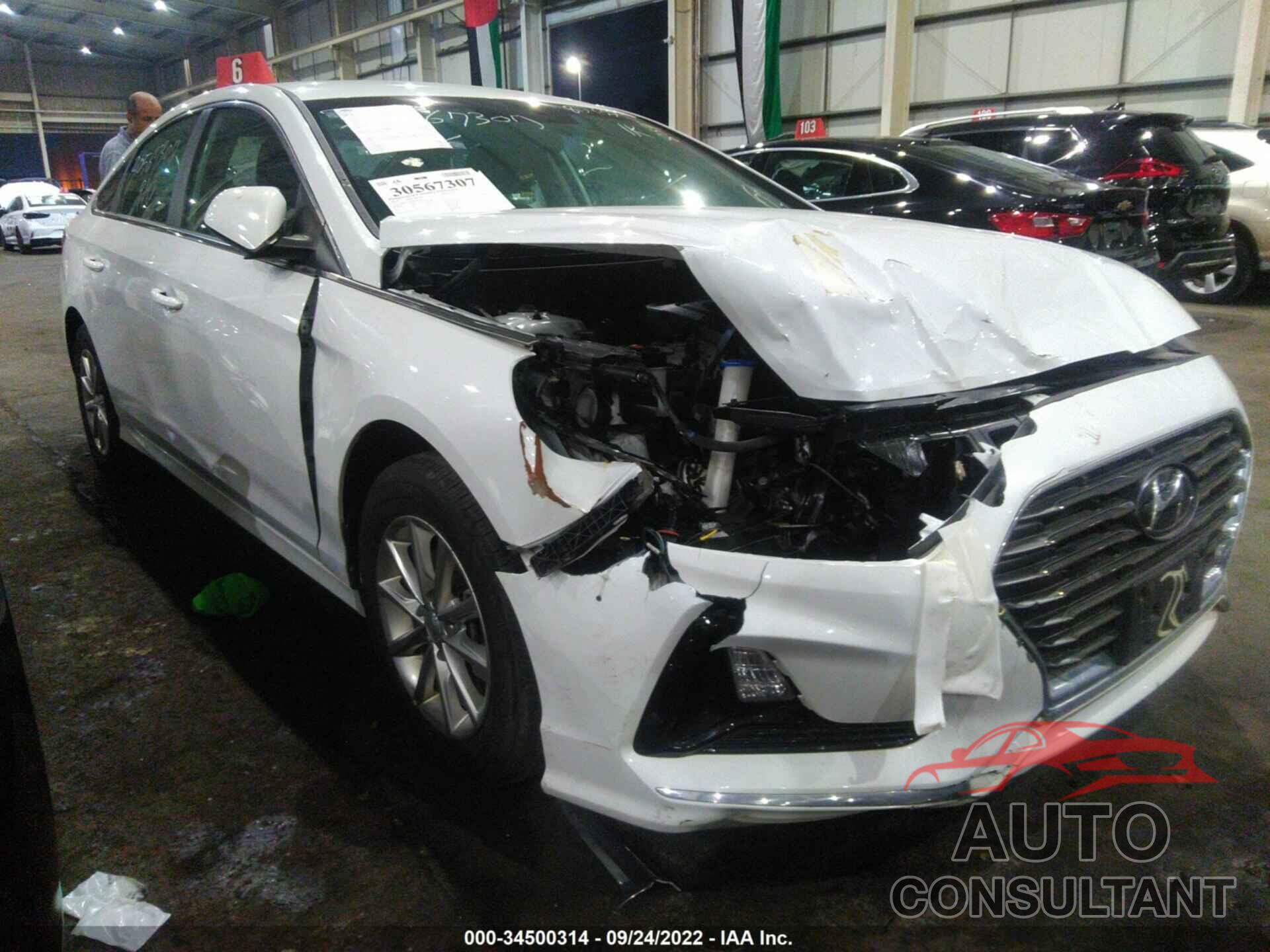 HYUNDAI SONATA 2019 - 00PE24AF5KH817657