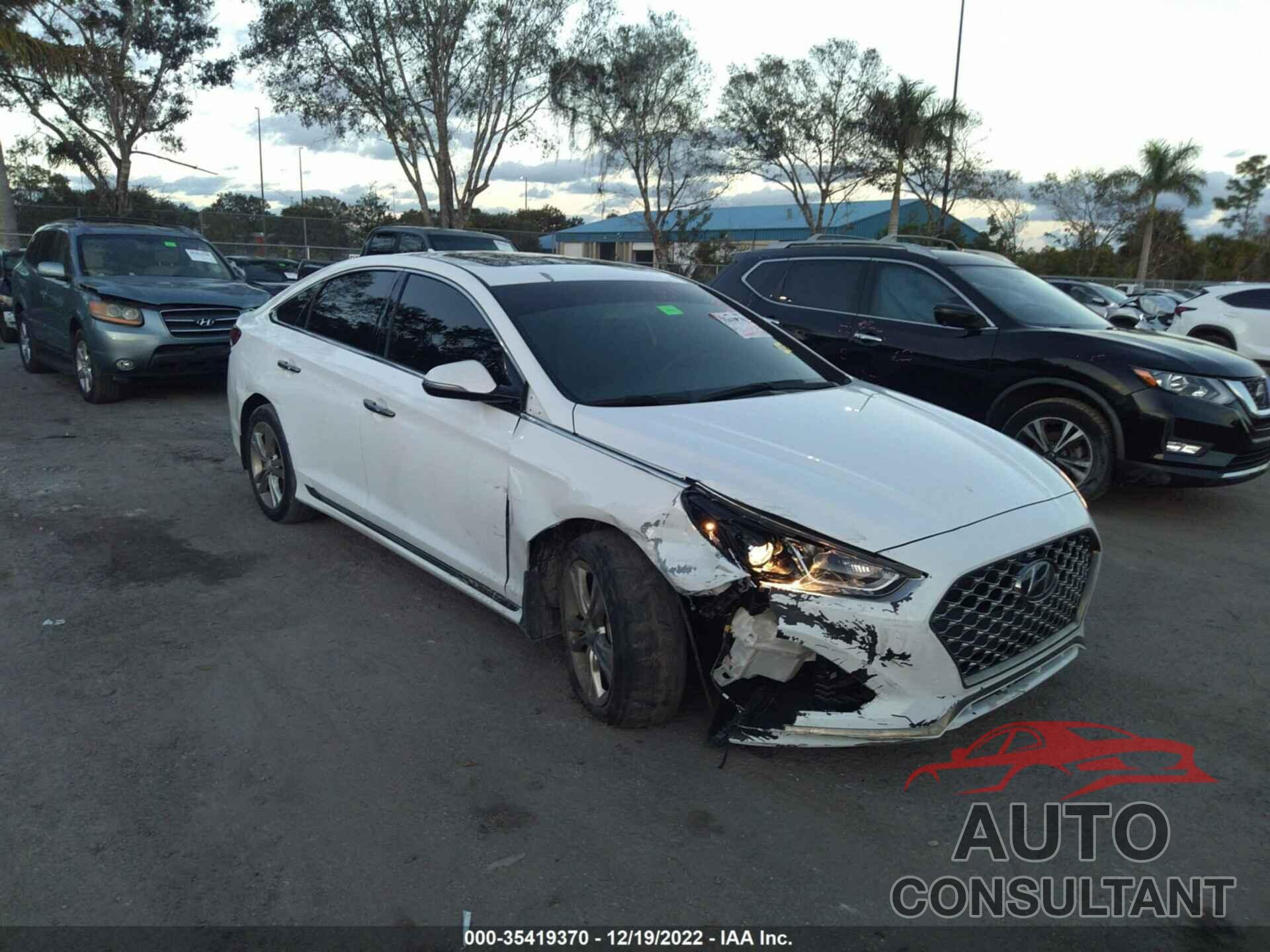 HYUNDAI SONATA 2019 - 5NPE34AF1KH808676