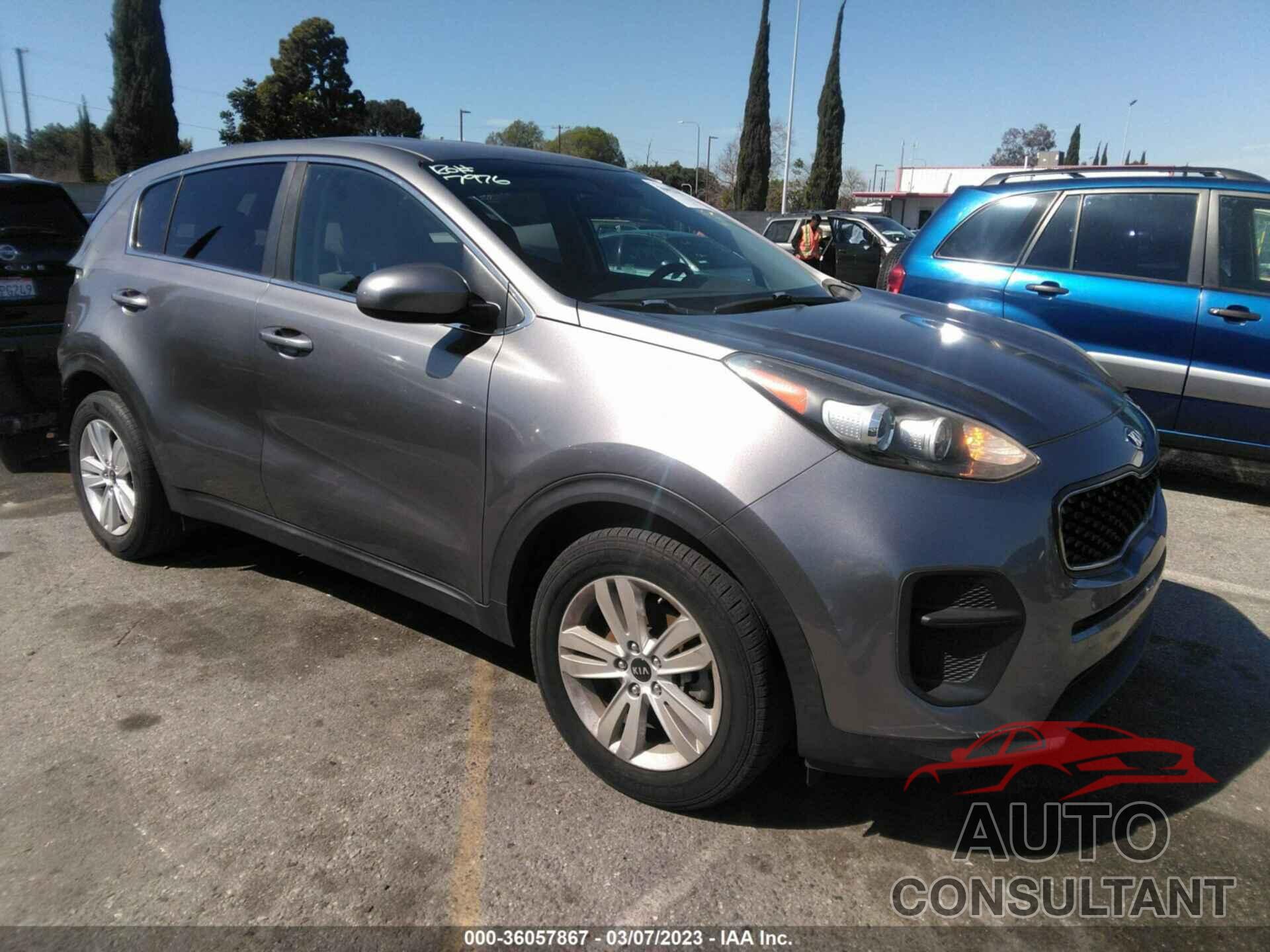 KIA SPORTAGE 2017 - KNDPM3AC2H7154127