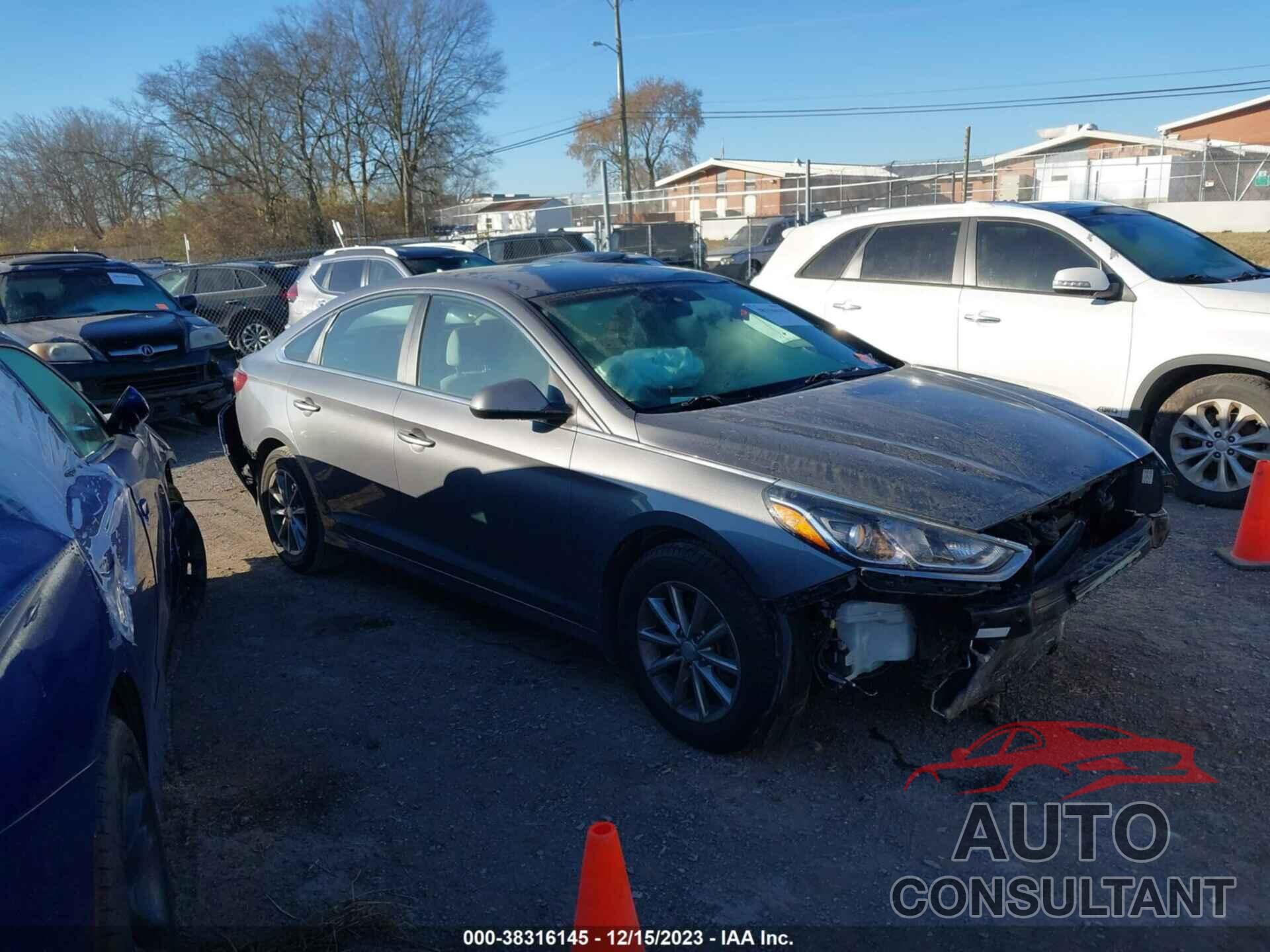 HYUNDAI SONATA 2018 - 5NPE24AF4JH667328