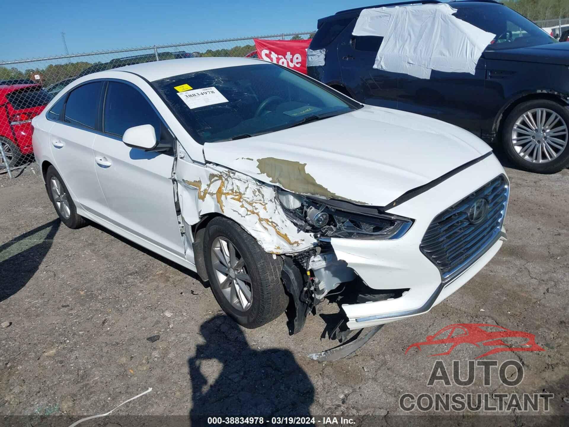 HYUNDAI SONATA 2019 - 5NPE24AF9KH765708