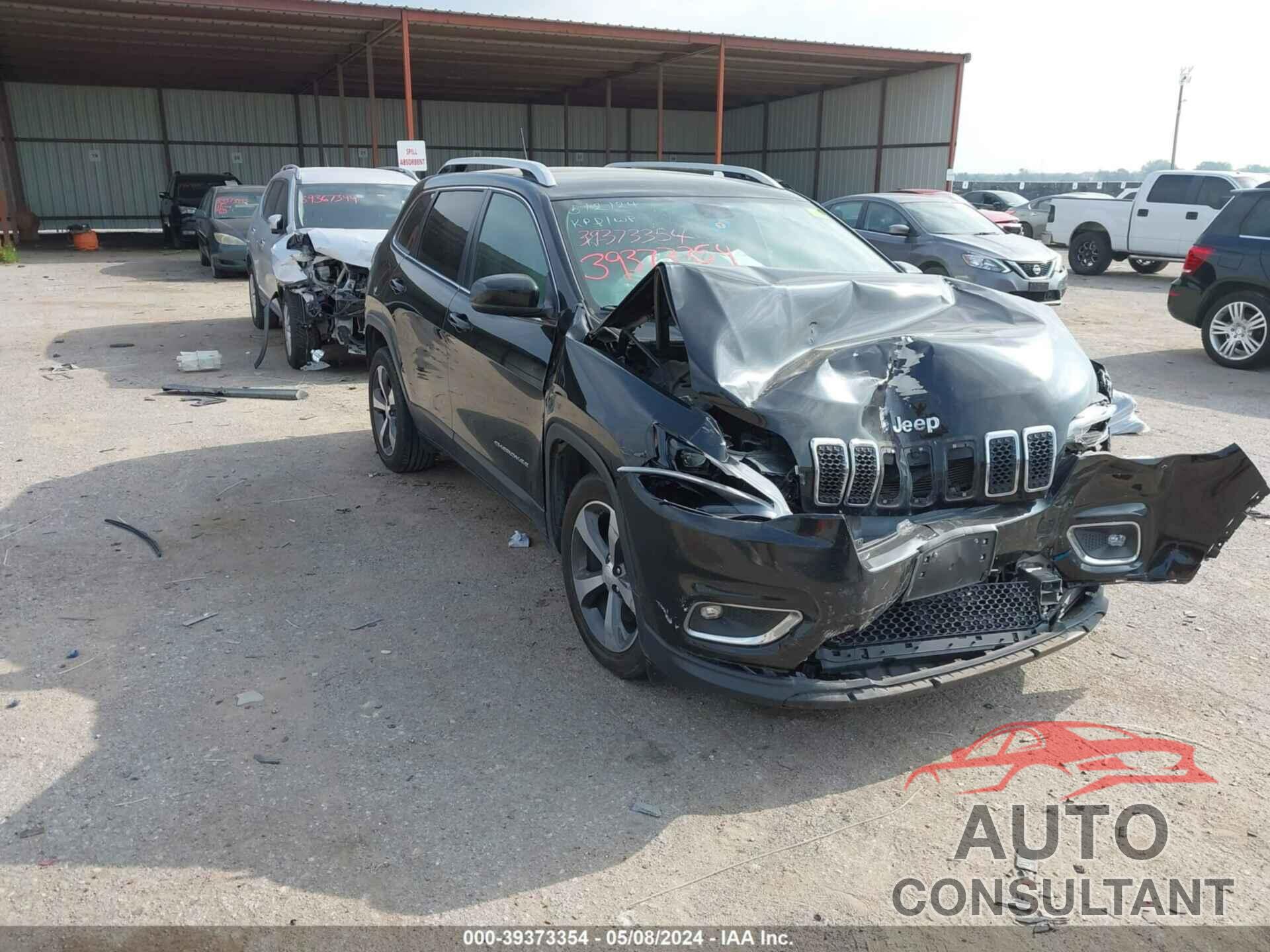 JEEP CHEROKEE 2019 - 1C4PJLDB0KD295962