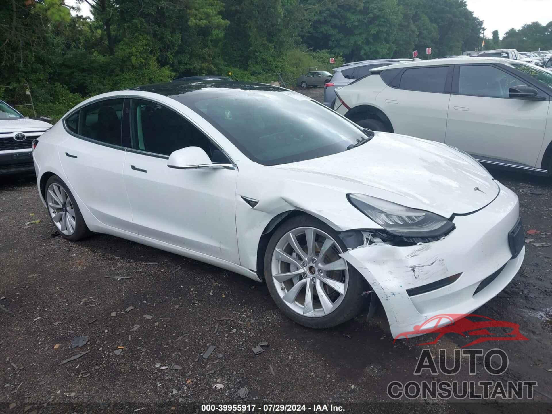 TESLA MODEL 3 2019 - 5YJ3E1EB0KF194385