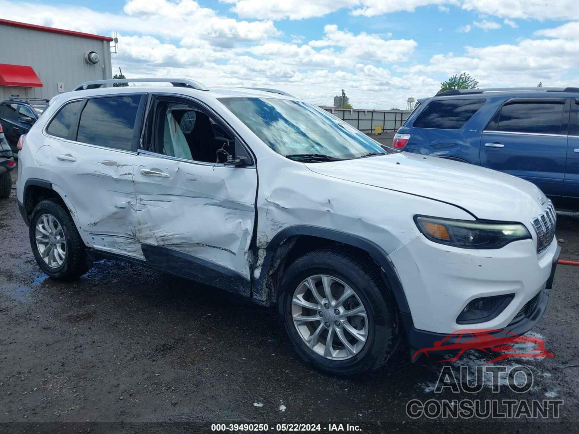 JEEP CHEROKEE 2019 - 1C4PJMCB1KD355786