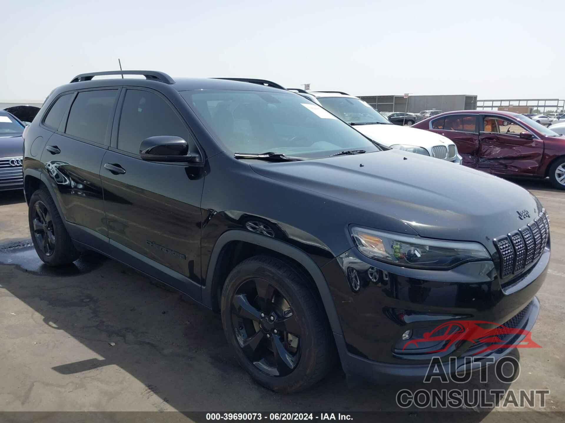 JEEP CHEROKEE 2019 - 1C4PJLLX4KD302683